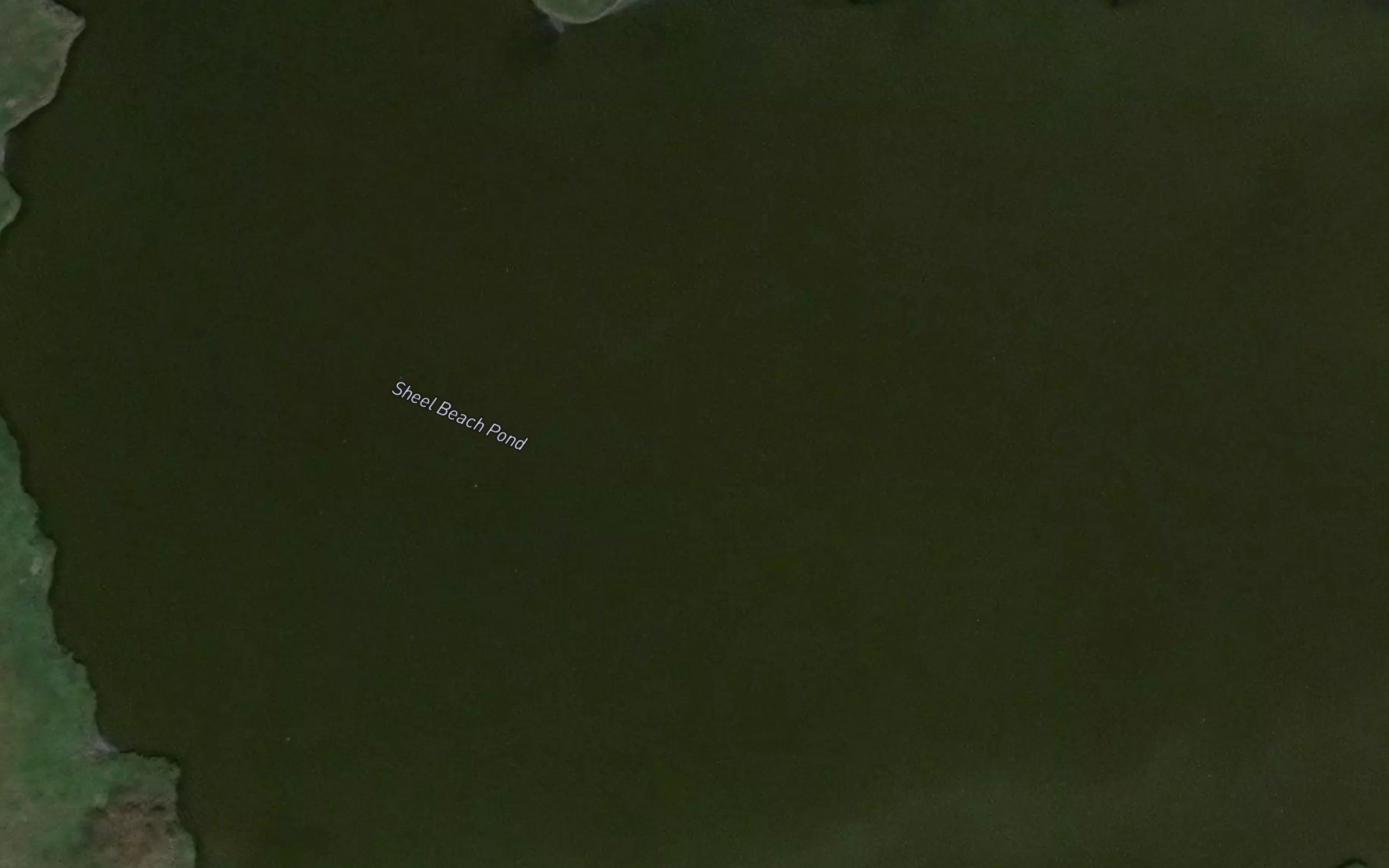 Shell Beach Pond