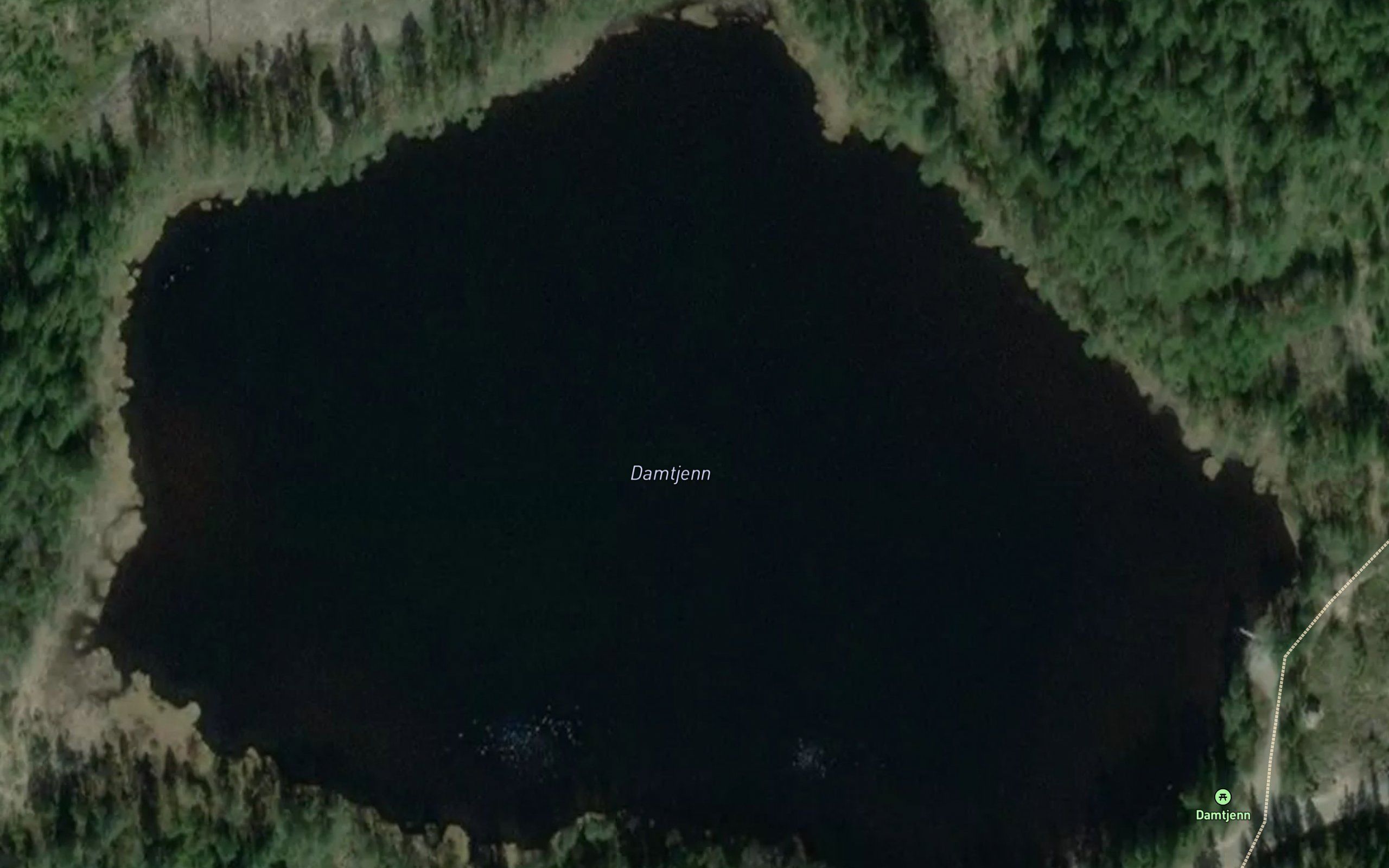 Damtjern