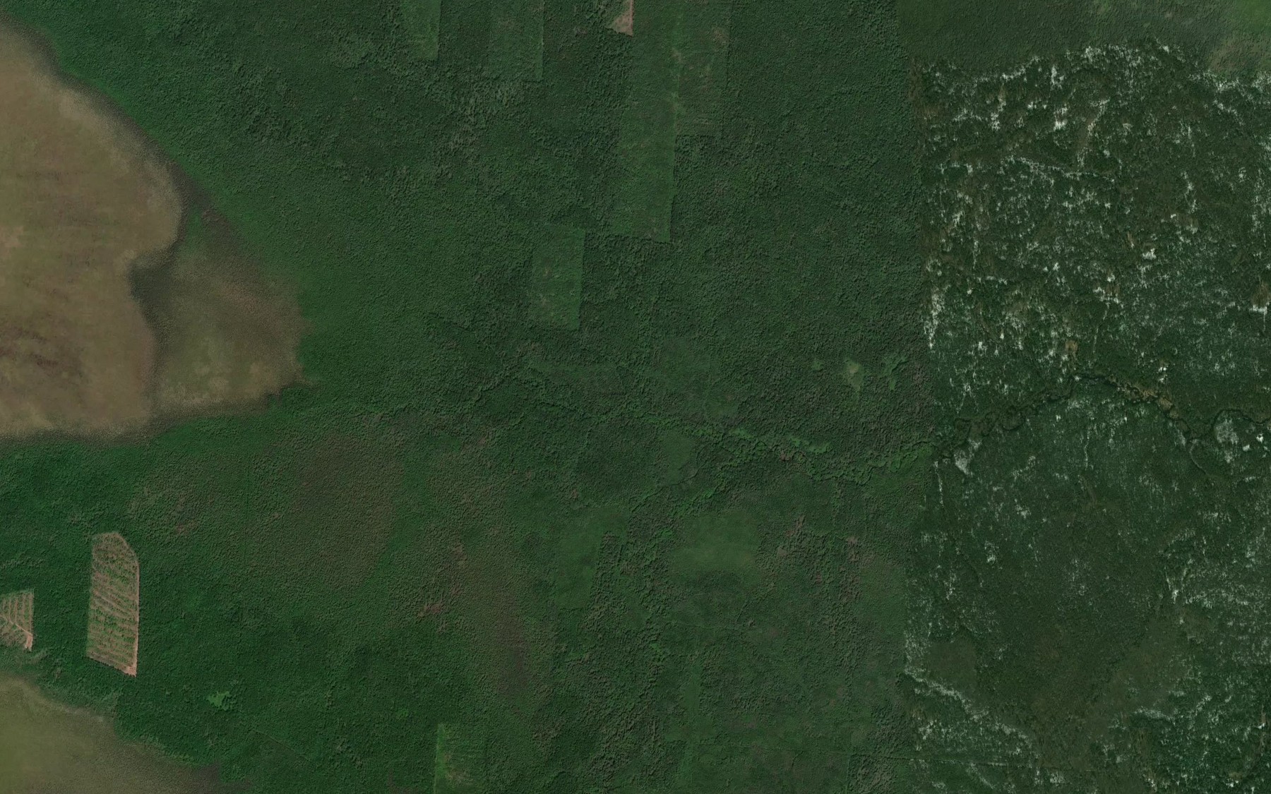 Satellite map of the Damoukha