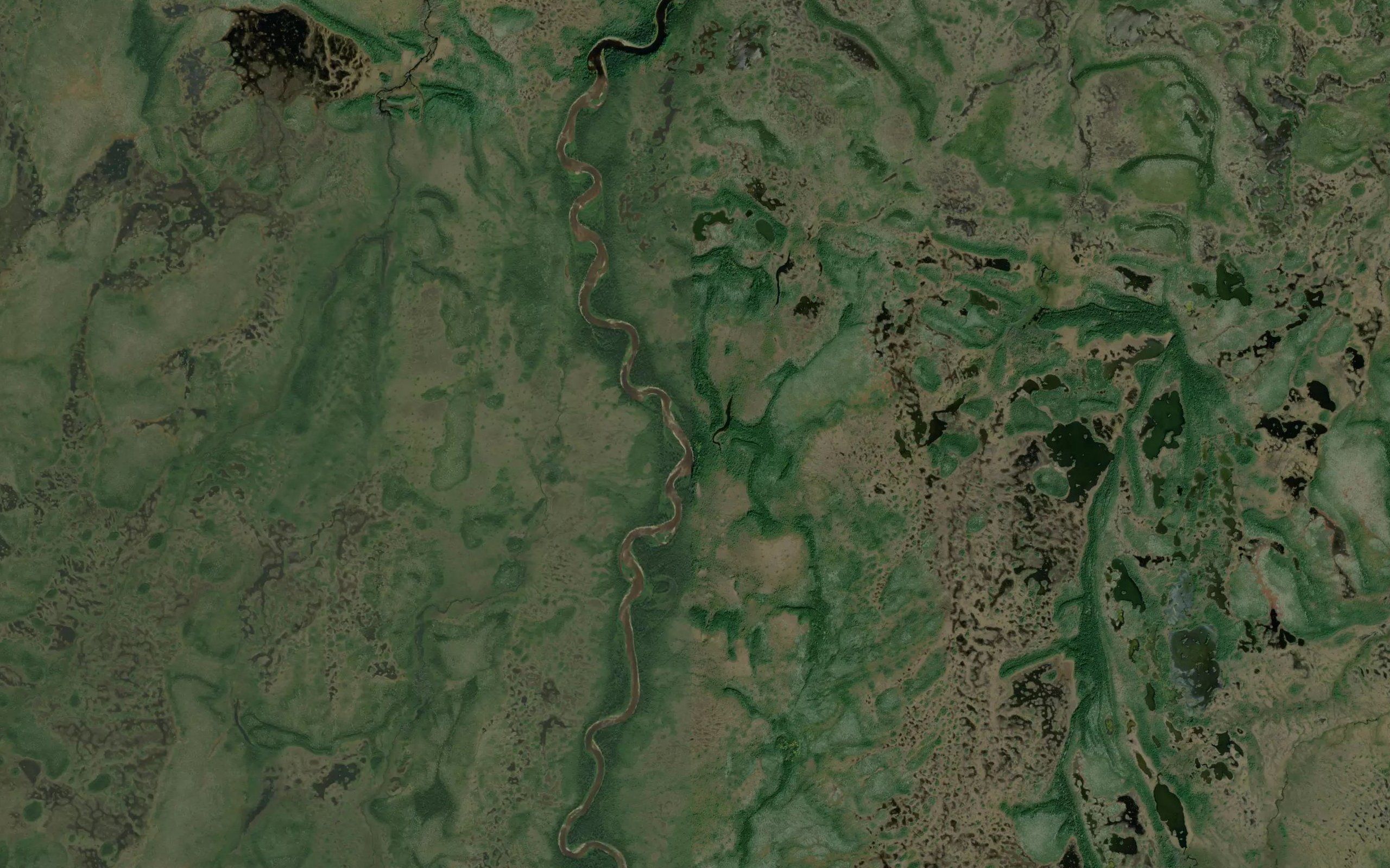 Laing Creek