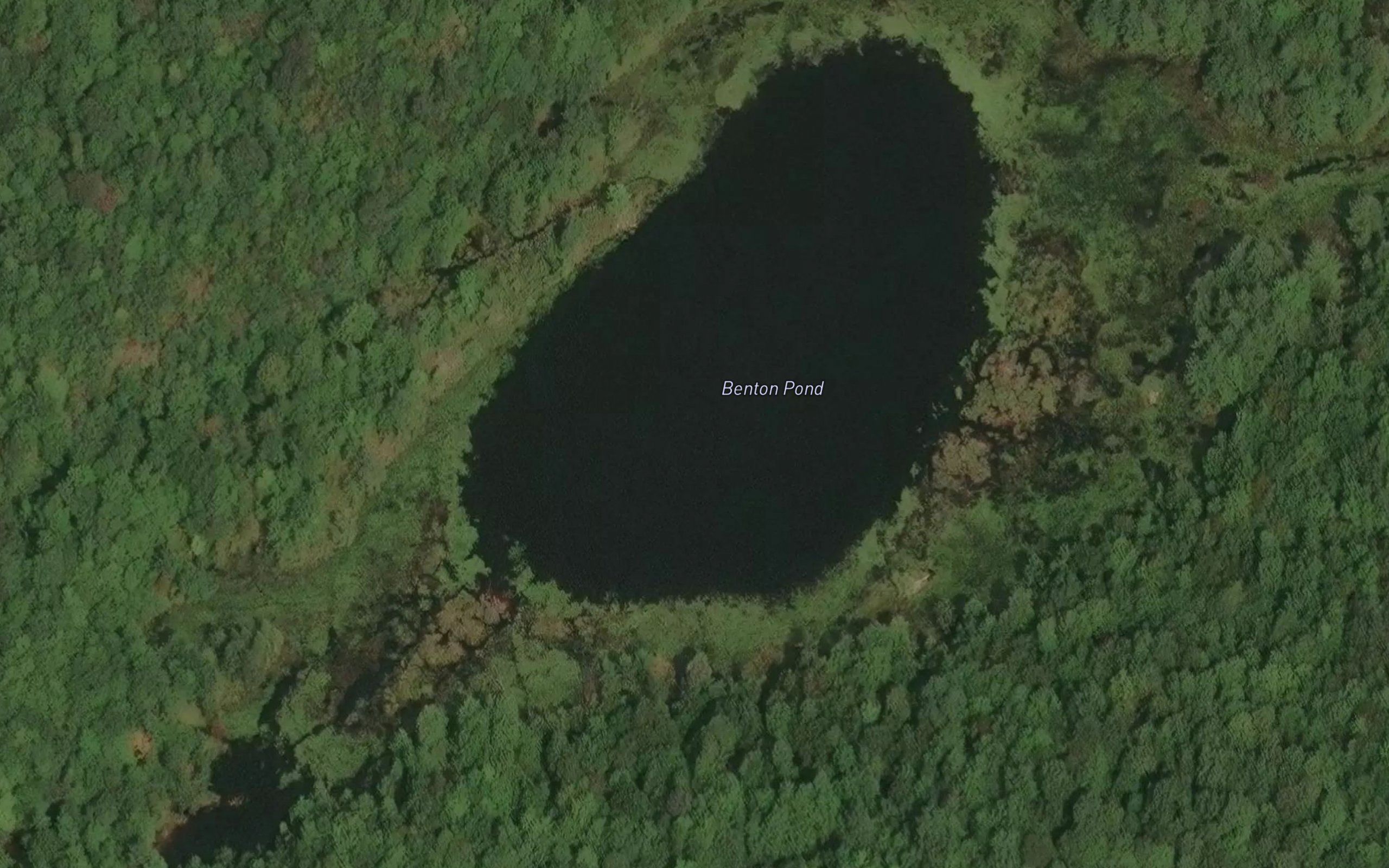 Benton Pond