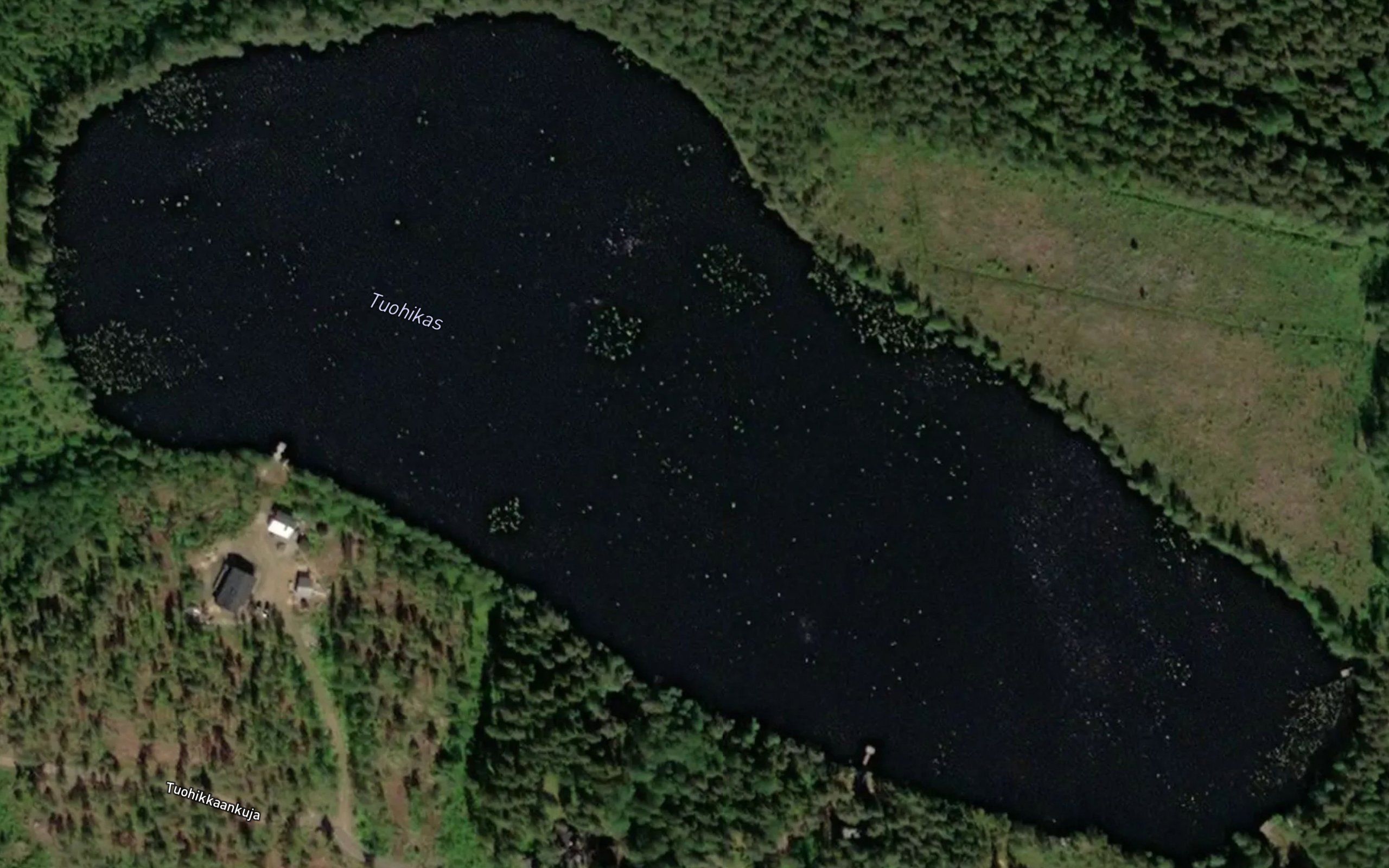 Tuohikas