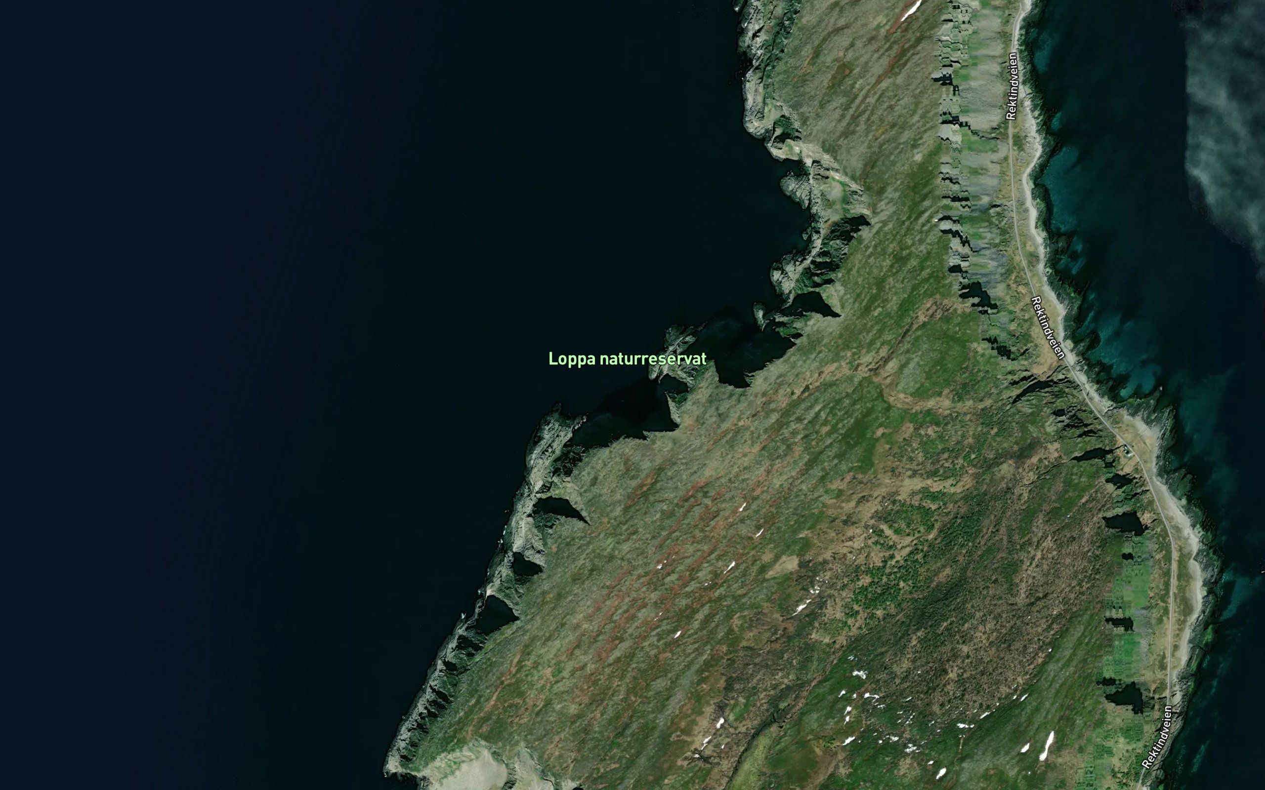 Ryggholla