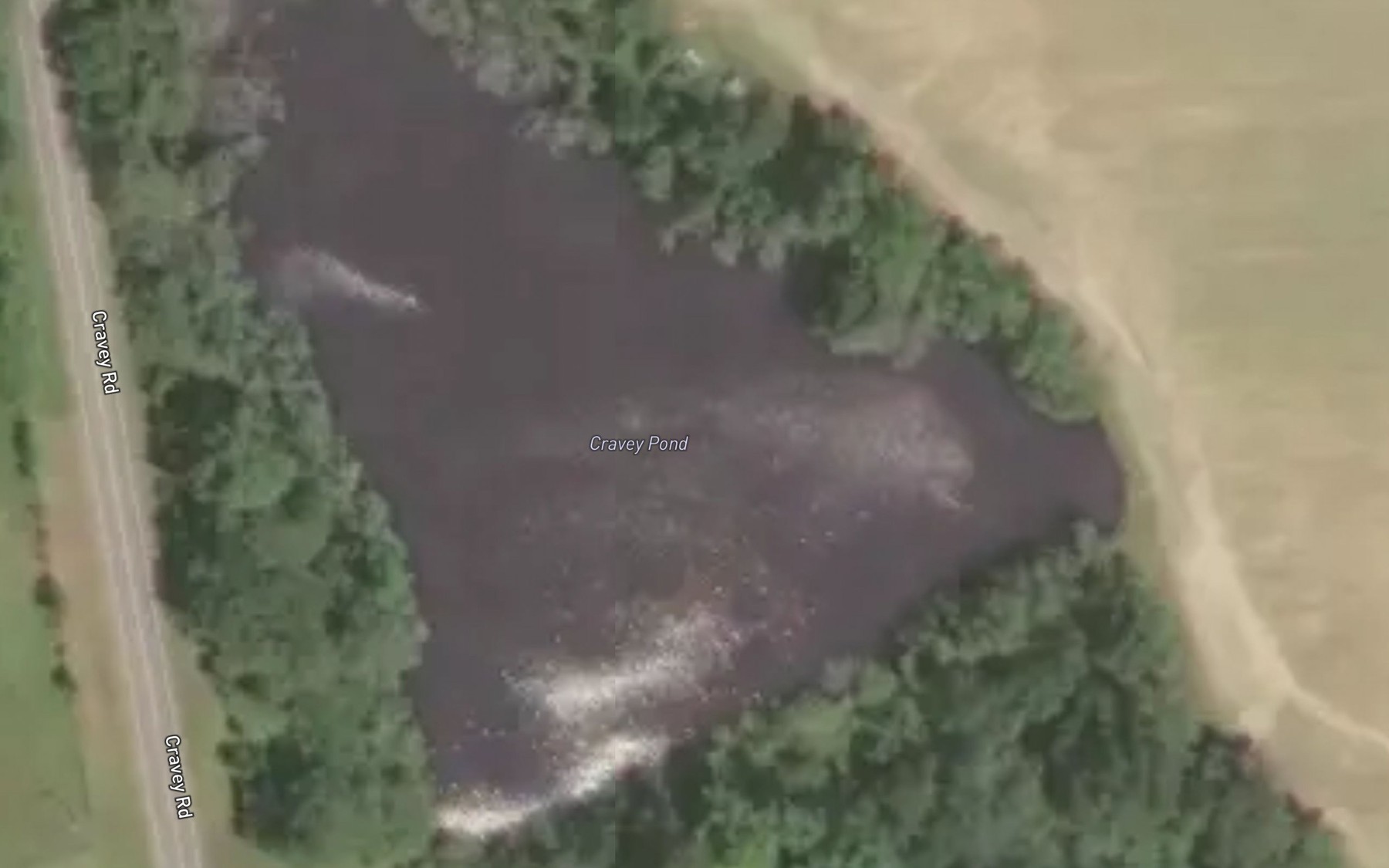 Satellite map of the Cravey Pond