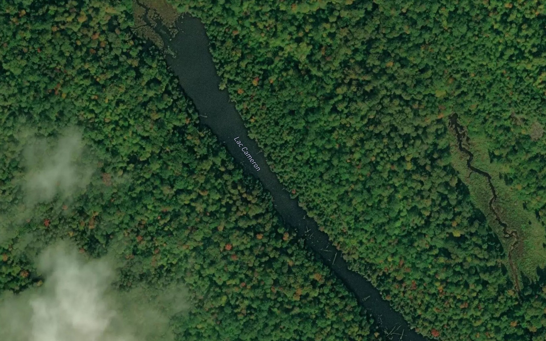 Satellite map of the Lac Cameron
