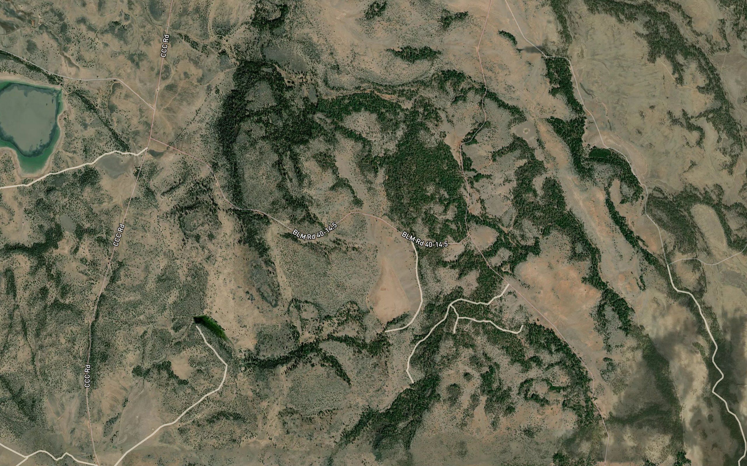 Logger Waterhole