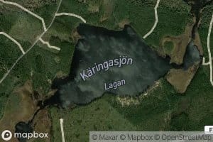 Karingasjon
