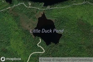Little Duck Pond