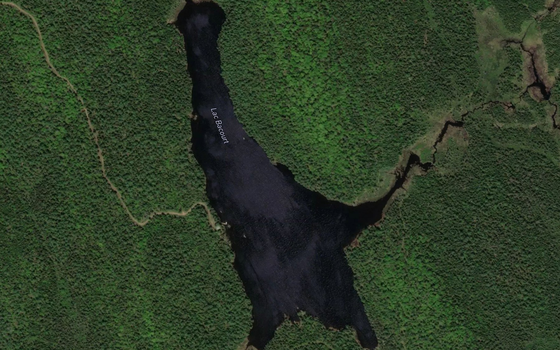 Satellite map of the Lac Bacourt