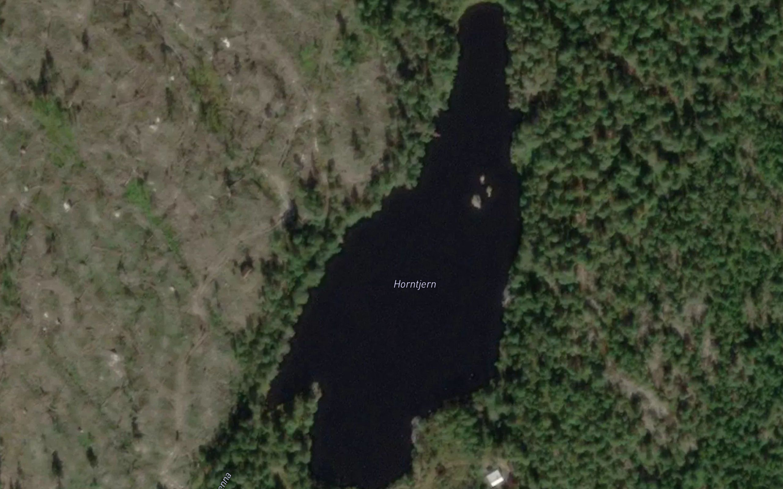 Horntjern