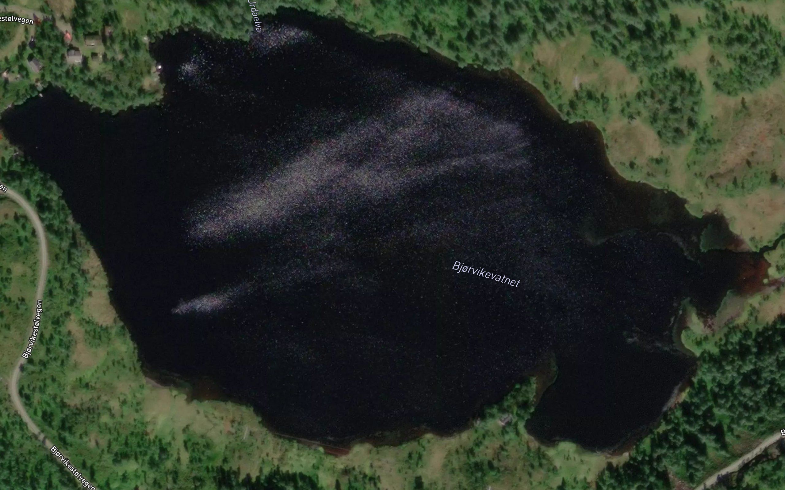 Bjorvikevatnet
