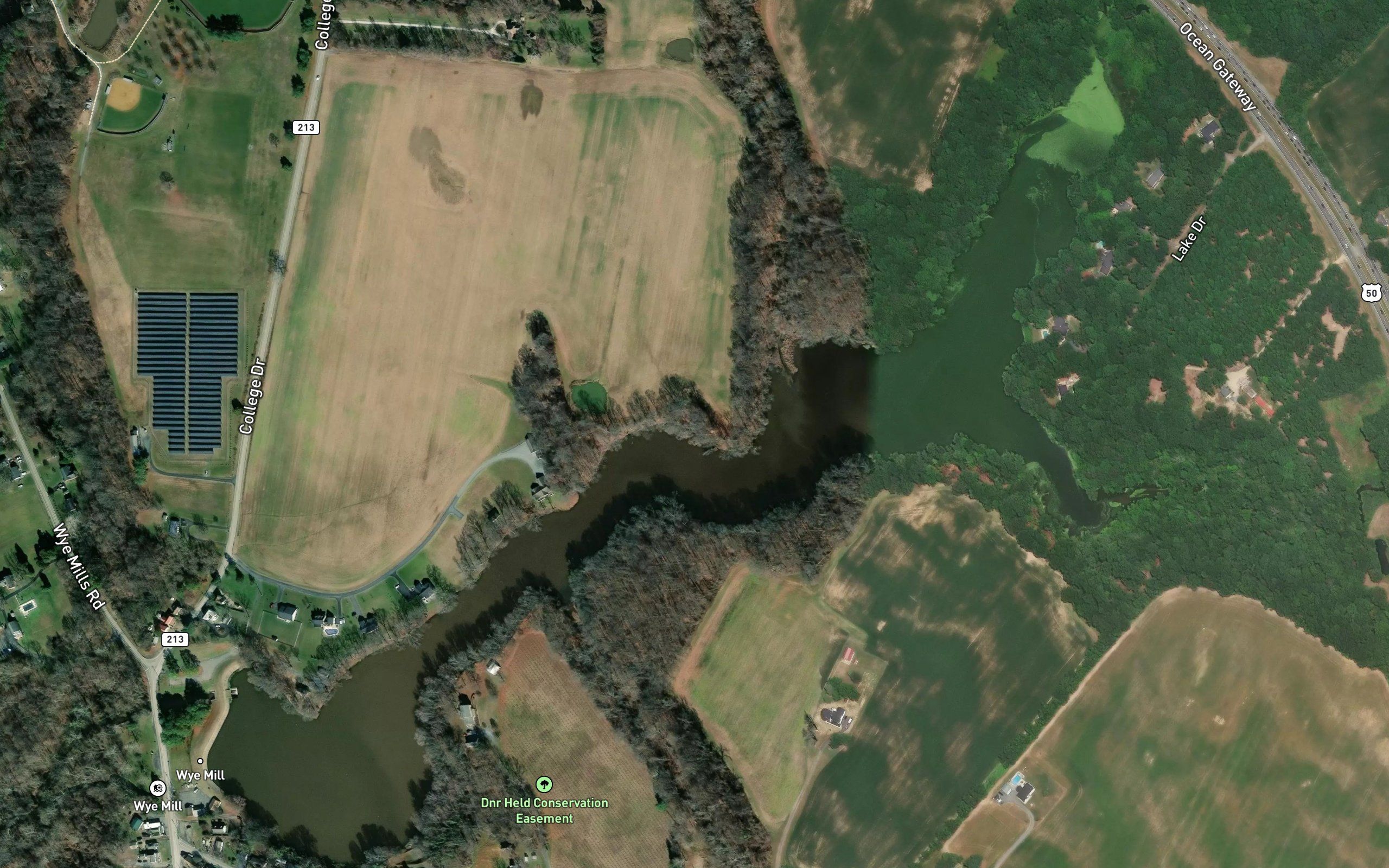 Wye Mills Community Lake