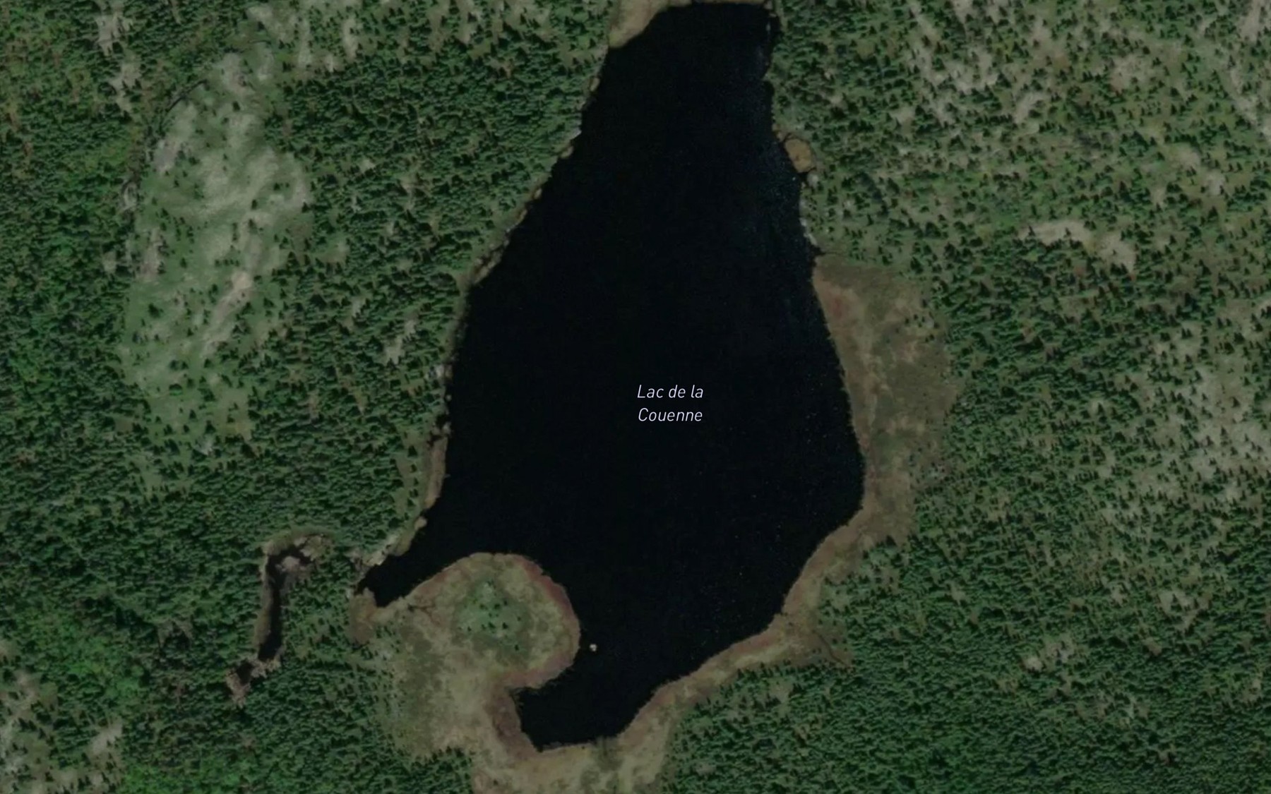 Satellite map of the Lac de la Couenne