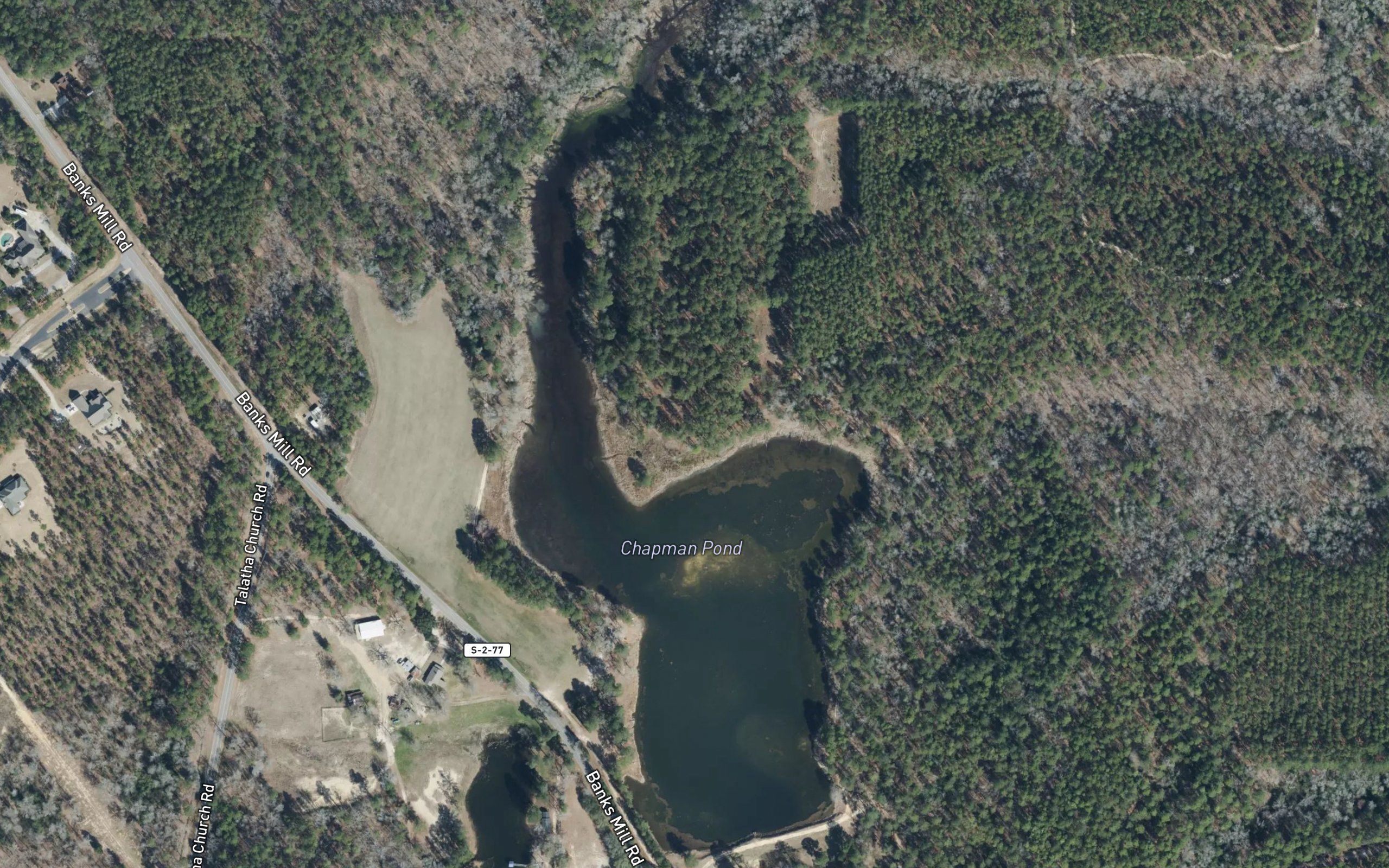 Chapman Pond