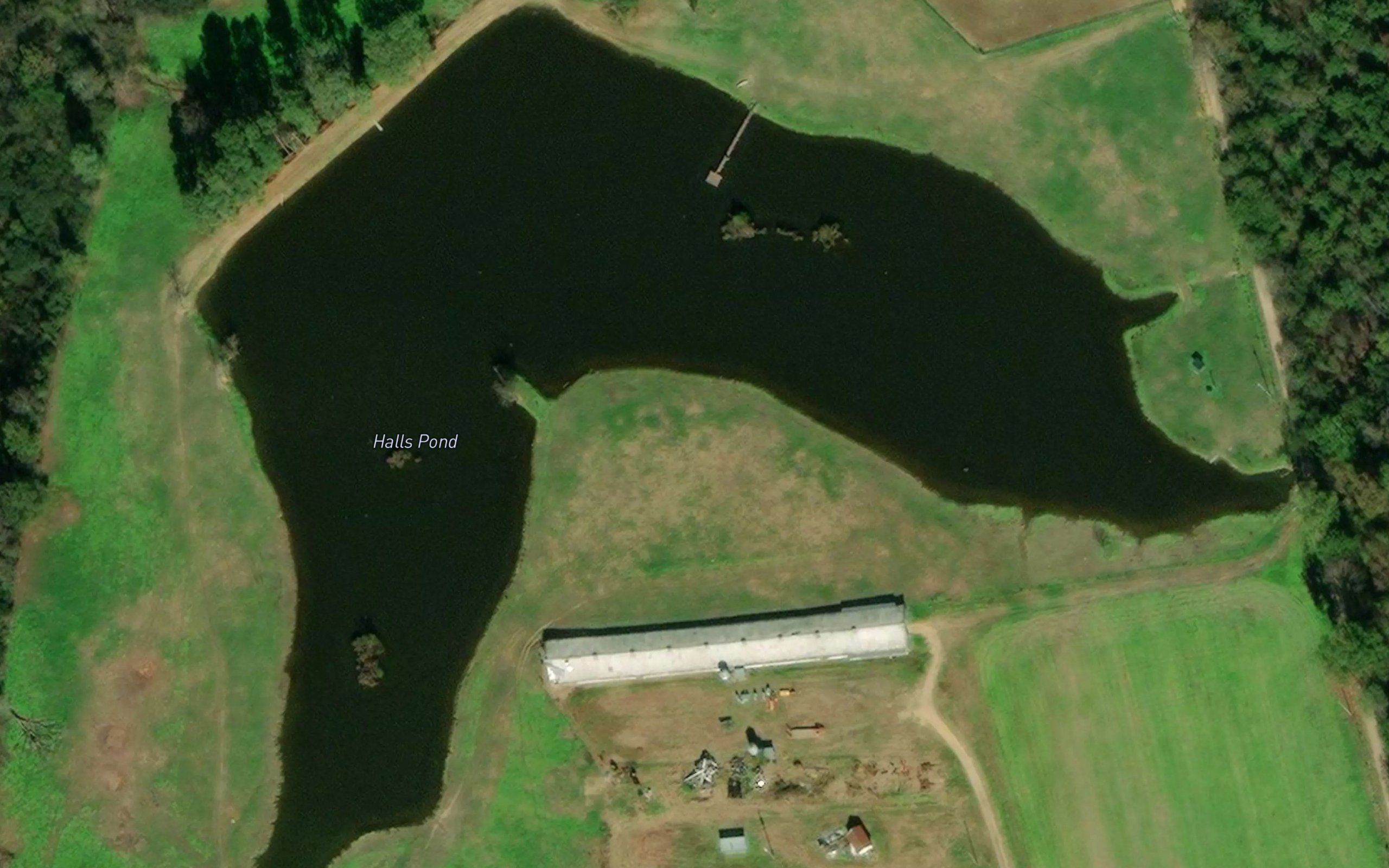 Halls Pond