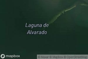 Laguna Alvarado