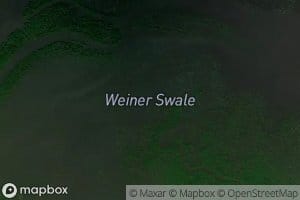 Weiner Swale
