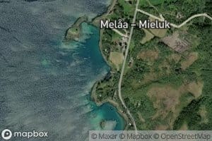 Pervika