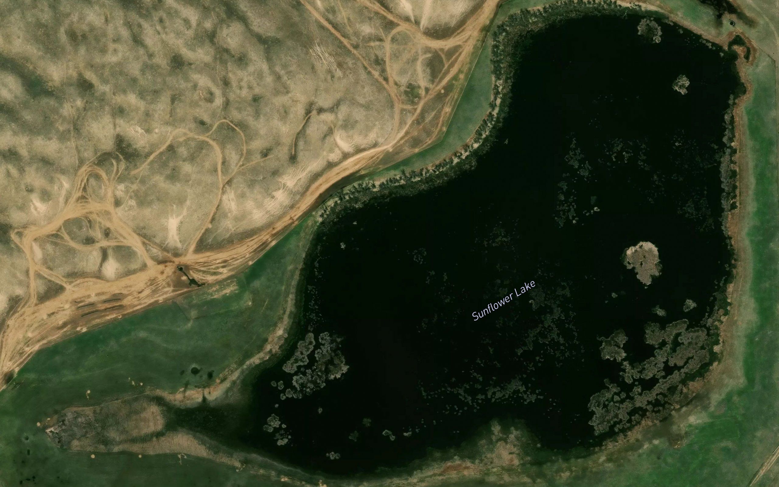 Sunflower Lake