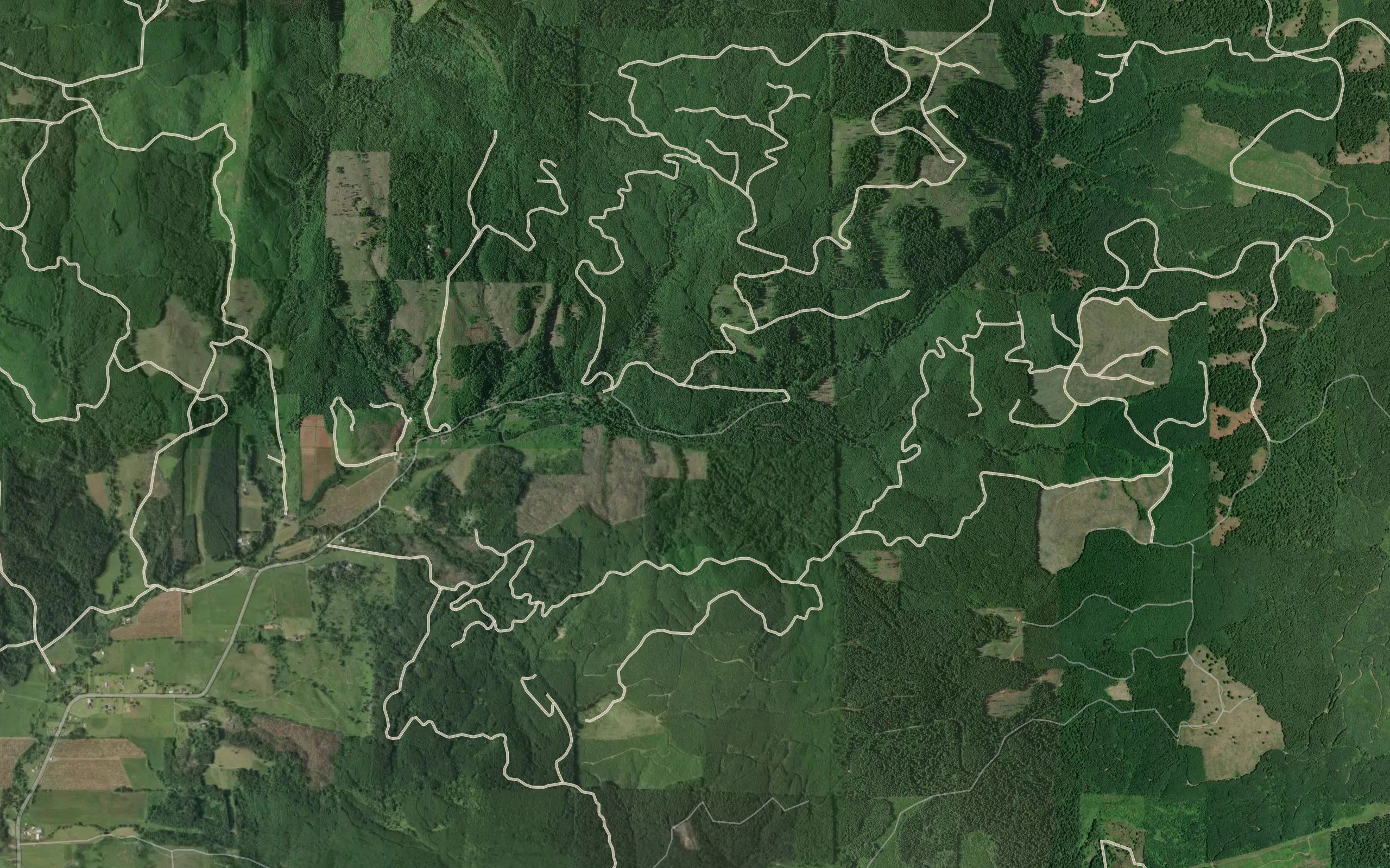 Cougar Creek