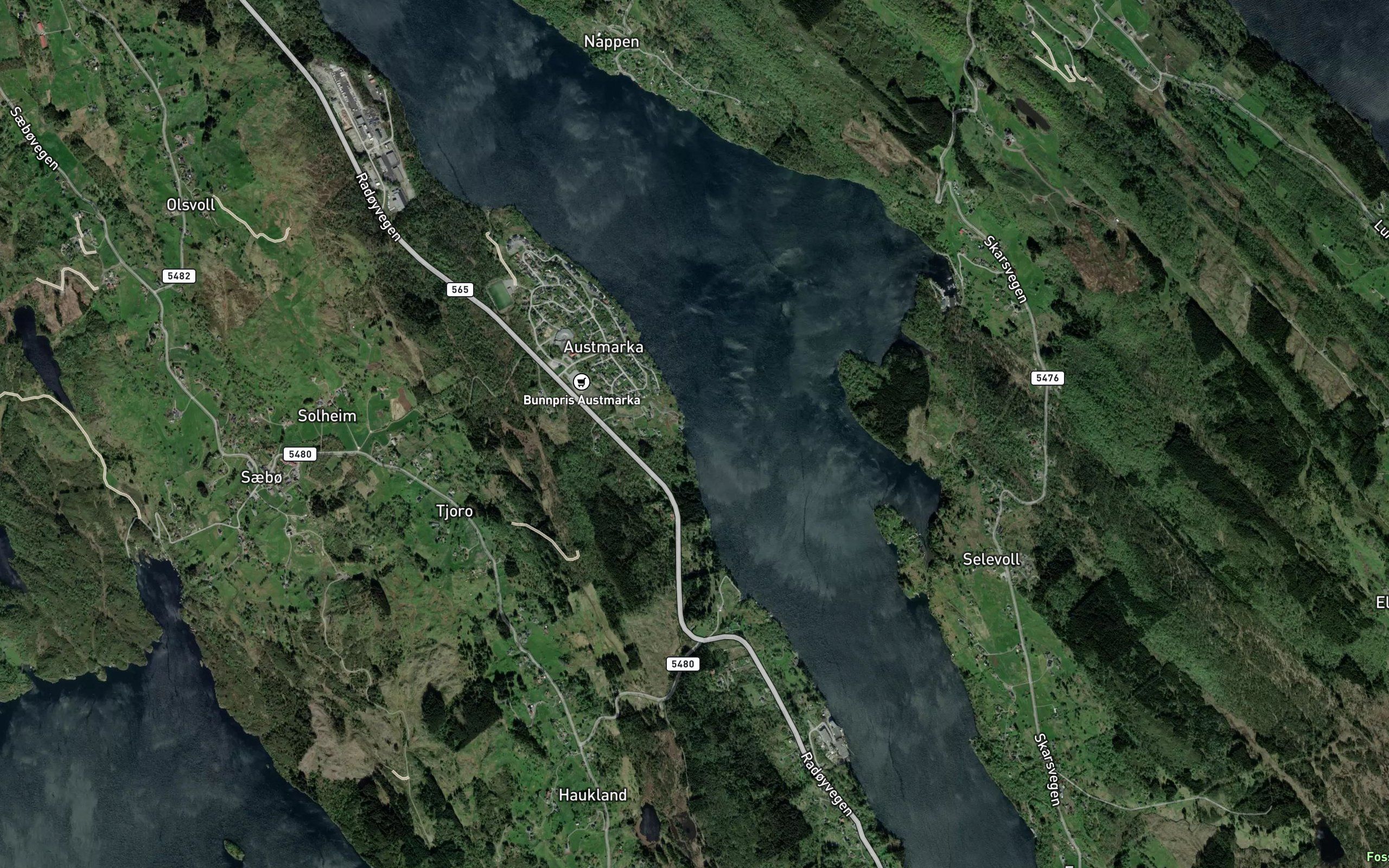 Bjervika