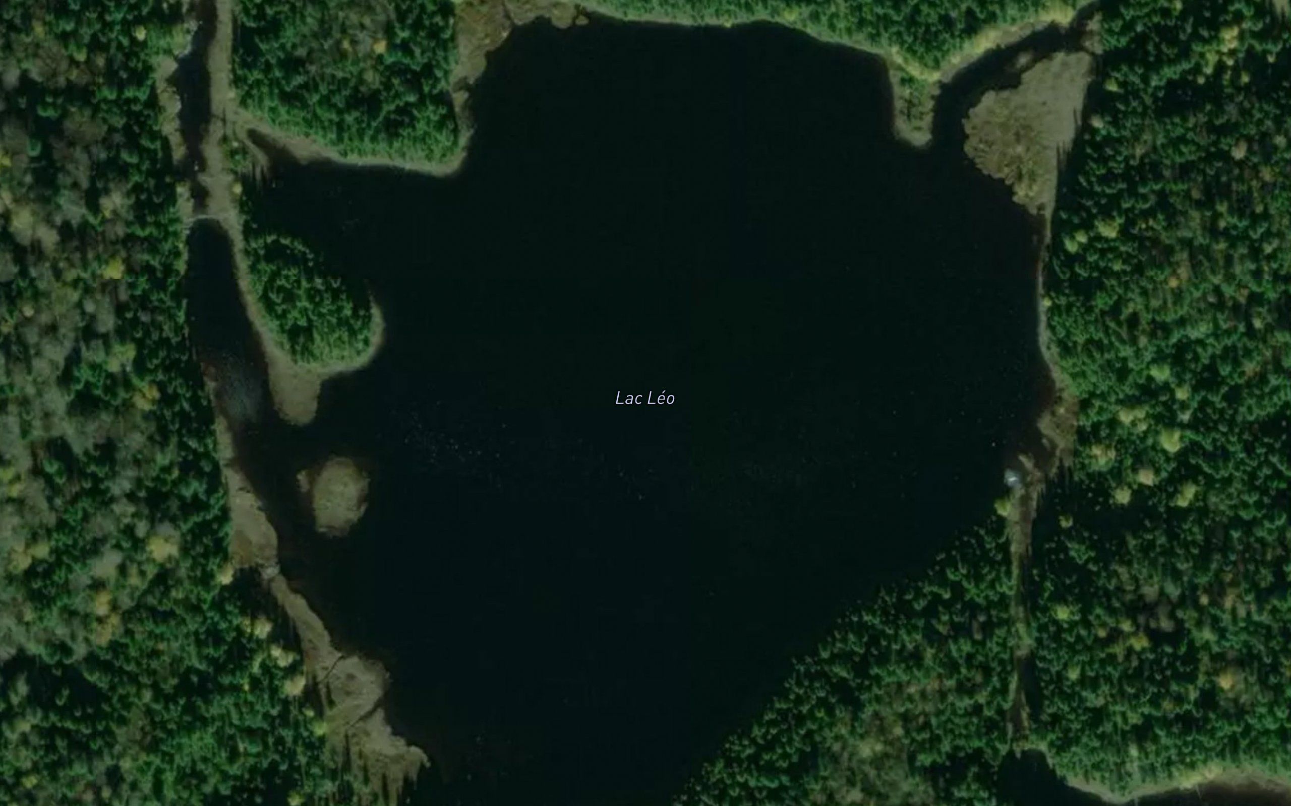 Lac Leo