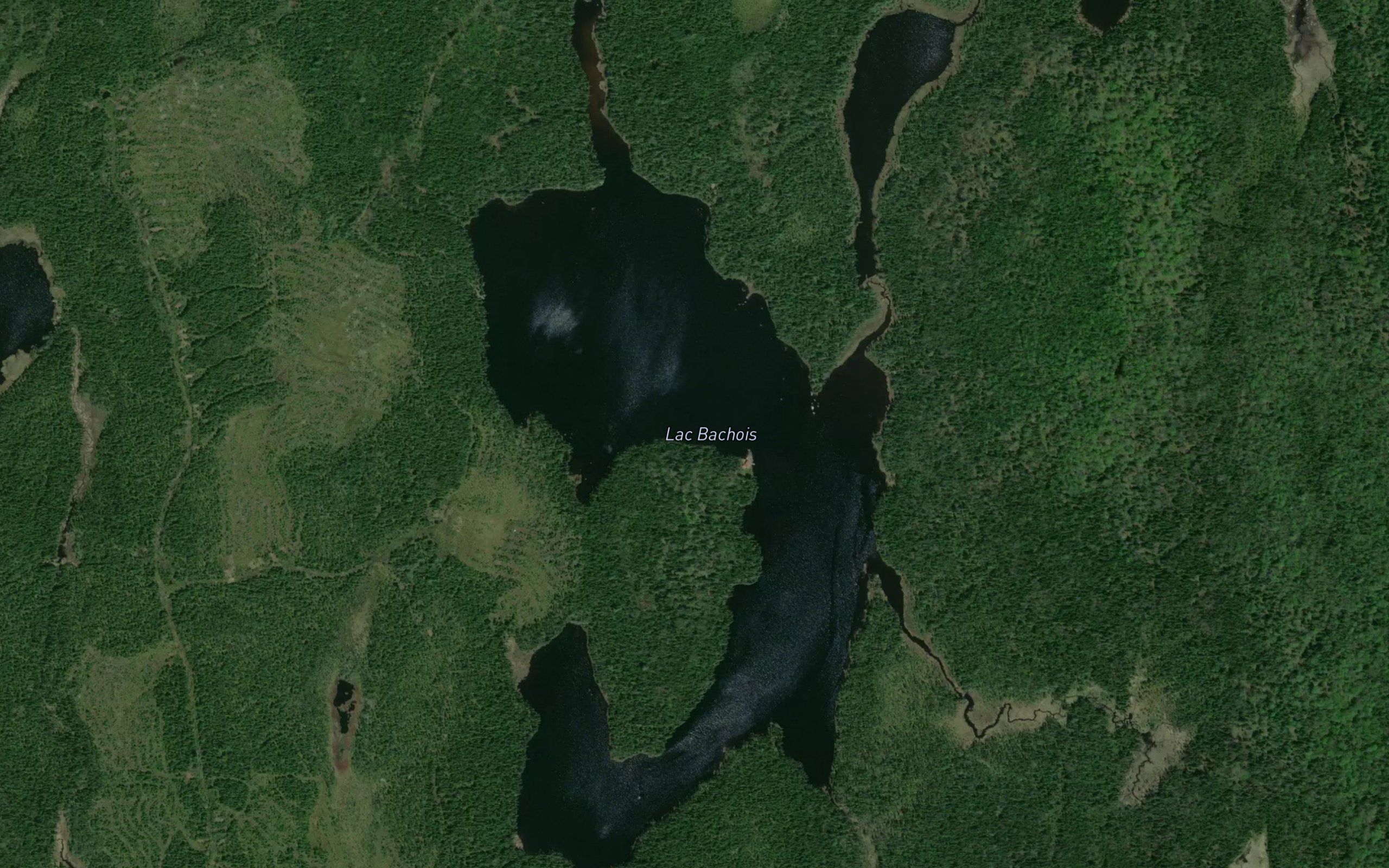 Lac Bachois