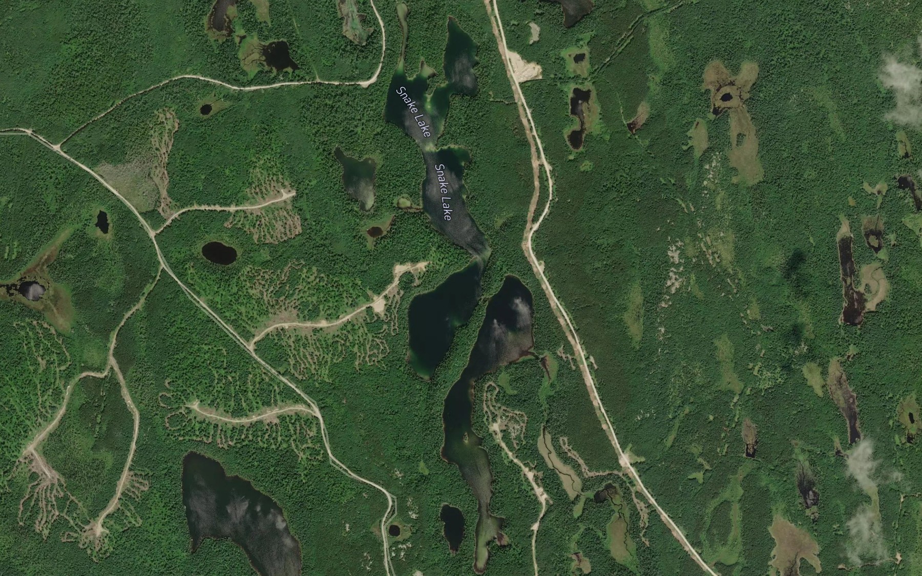 Satellite map of the Snake Lake