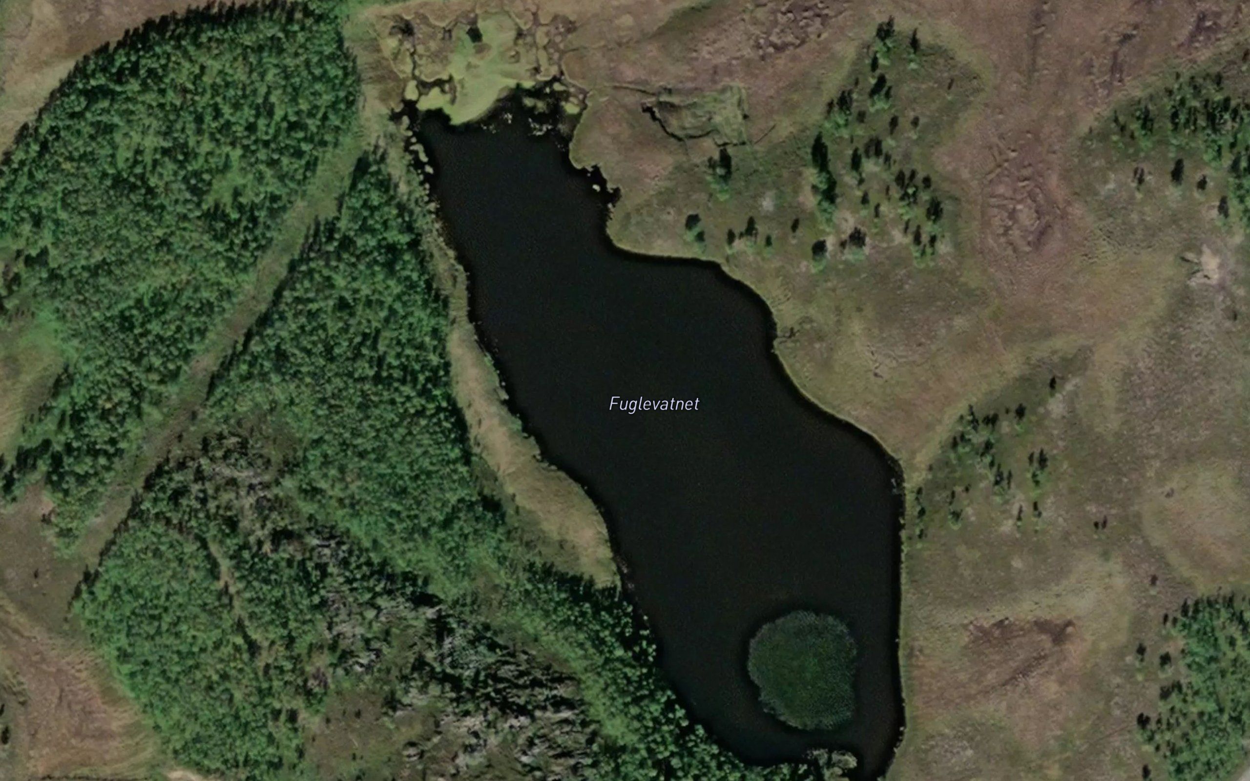Fuglevannet