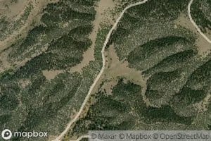 Cedar Spring