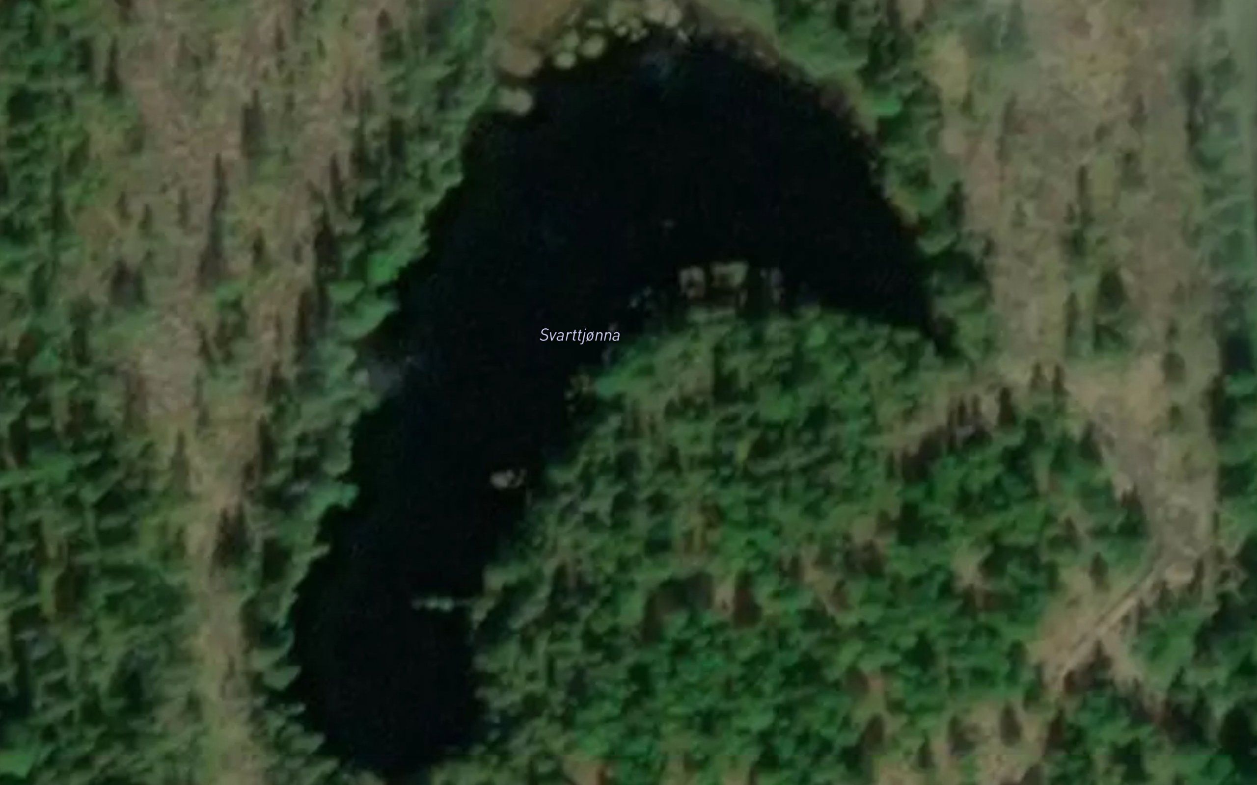 Svarttjonna