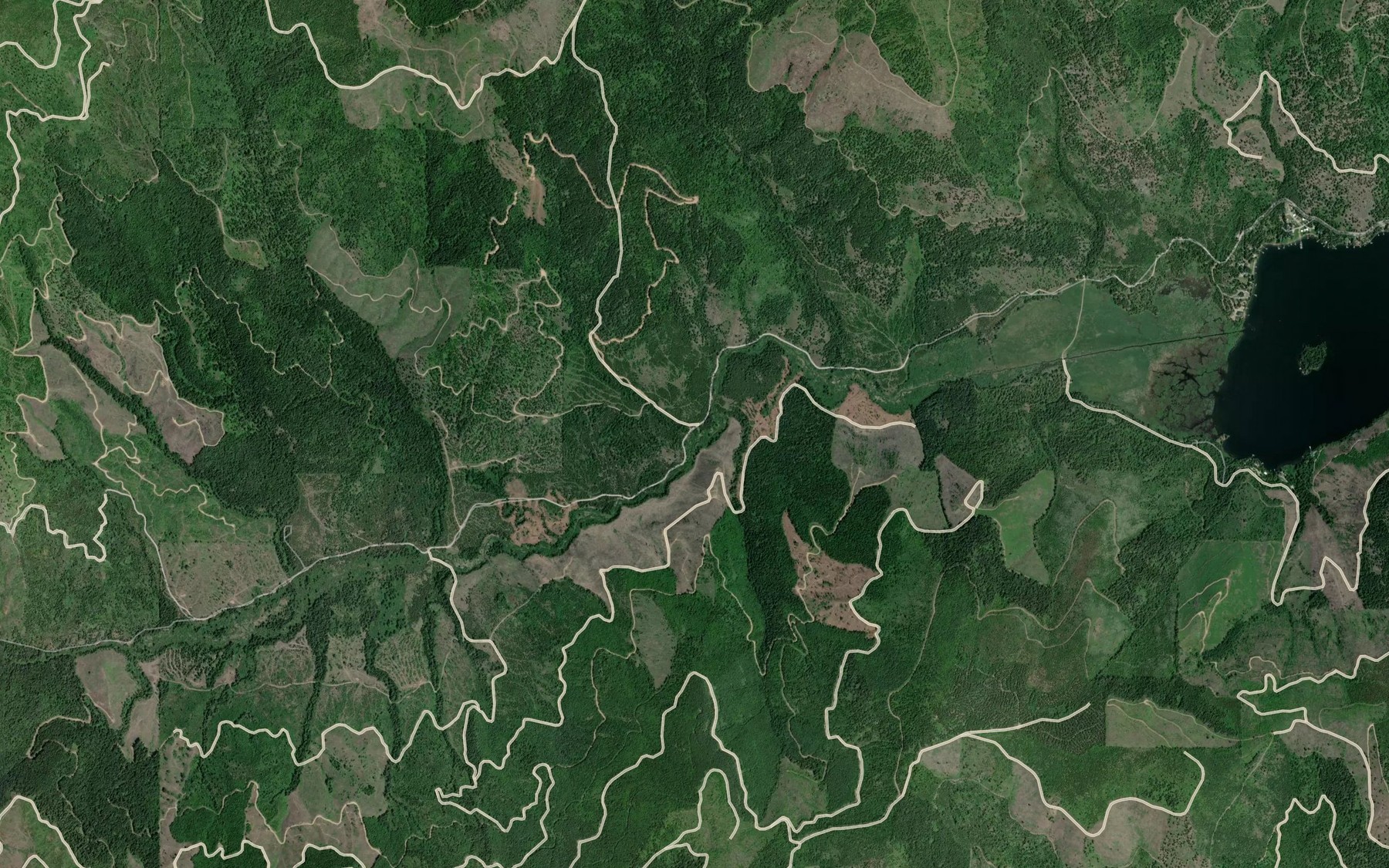 Satellite map of the Blister Rust Creek