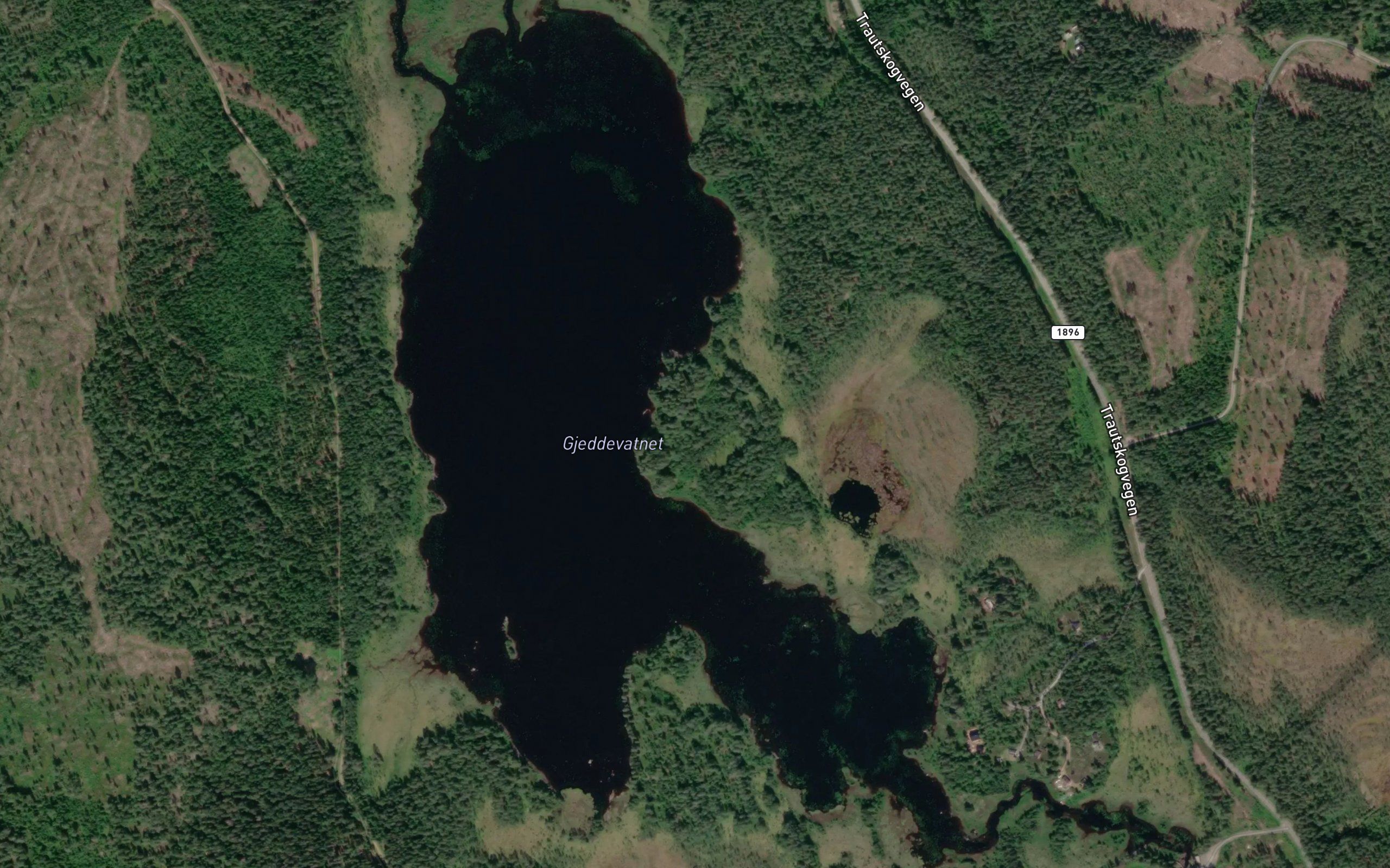 Gjeddevatnet