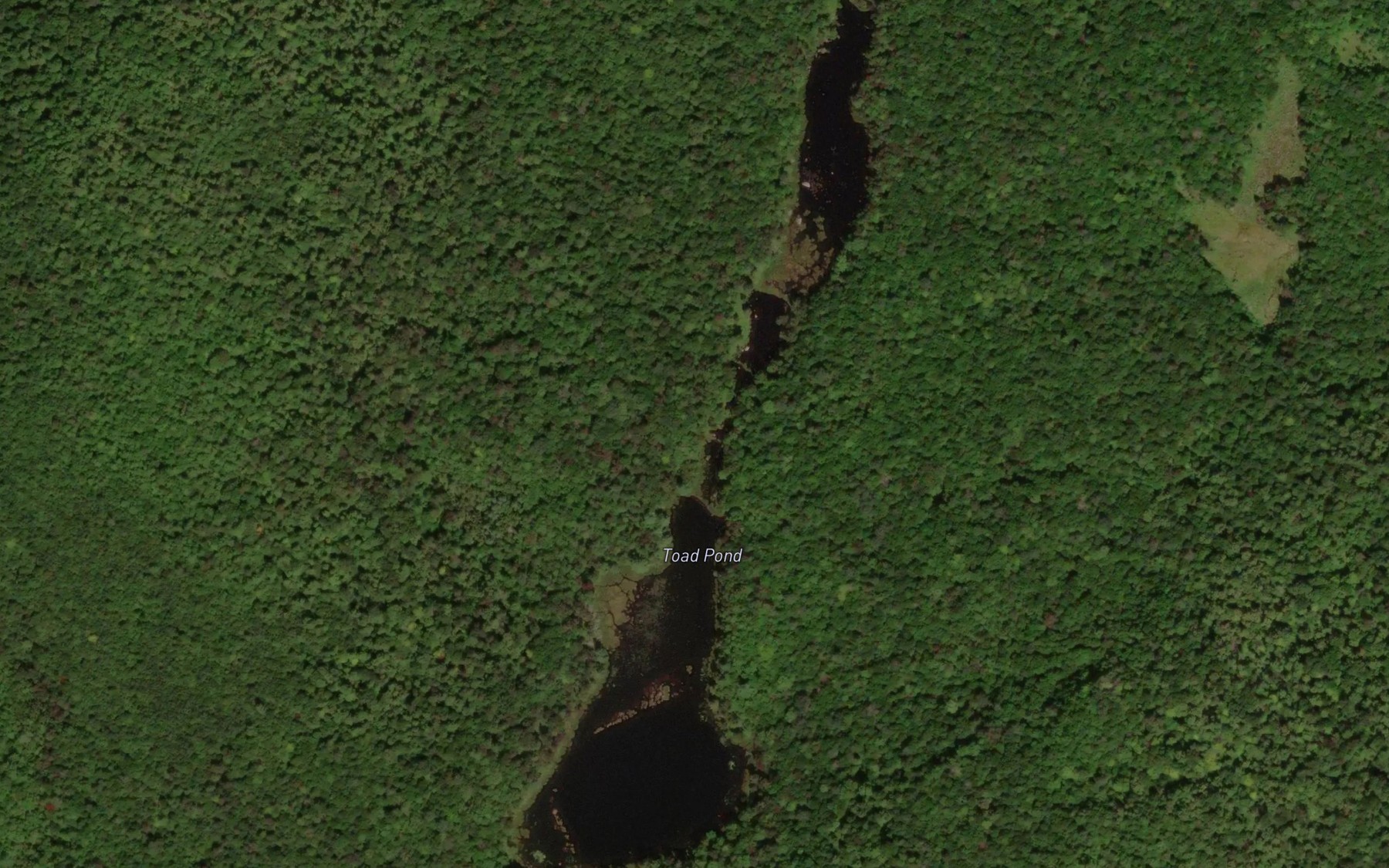 Satellite map of the Toad Pond