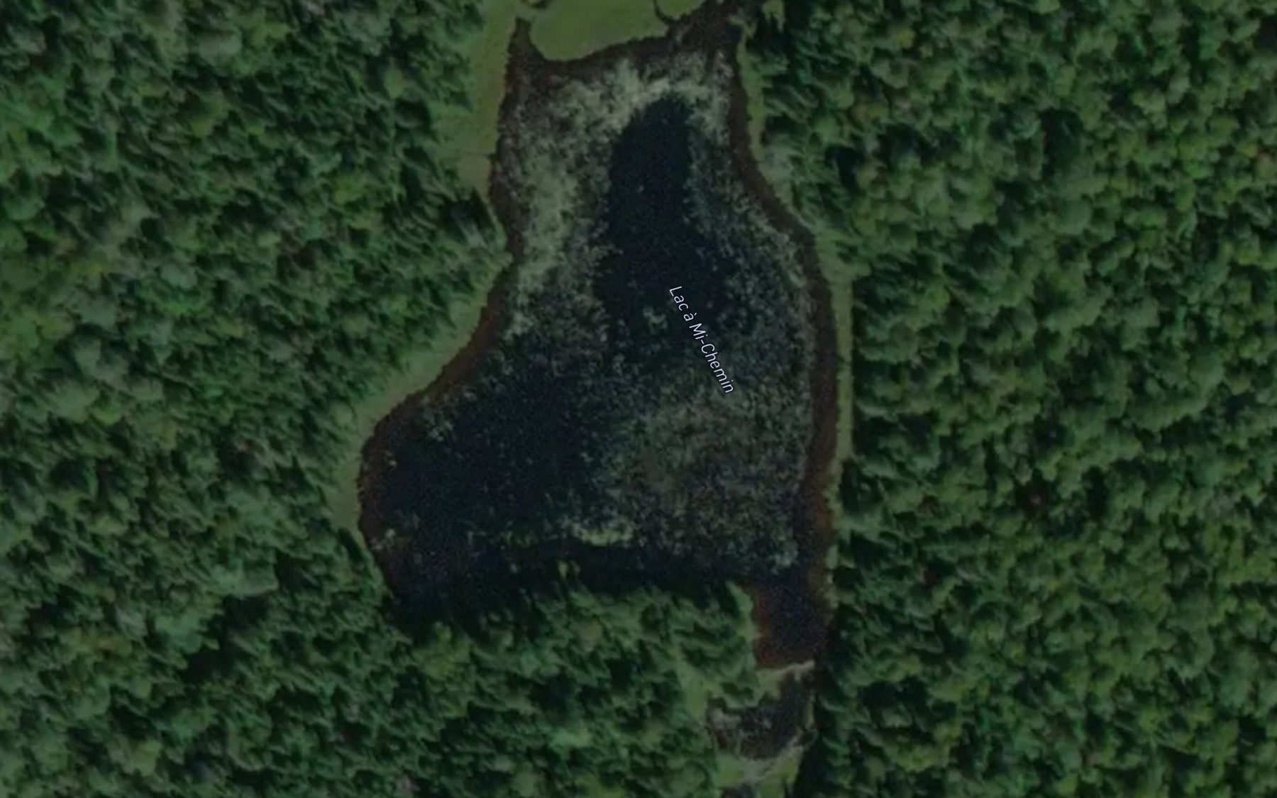 Satellite map of the Lac a Mi-Chemin