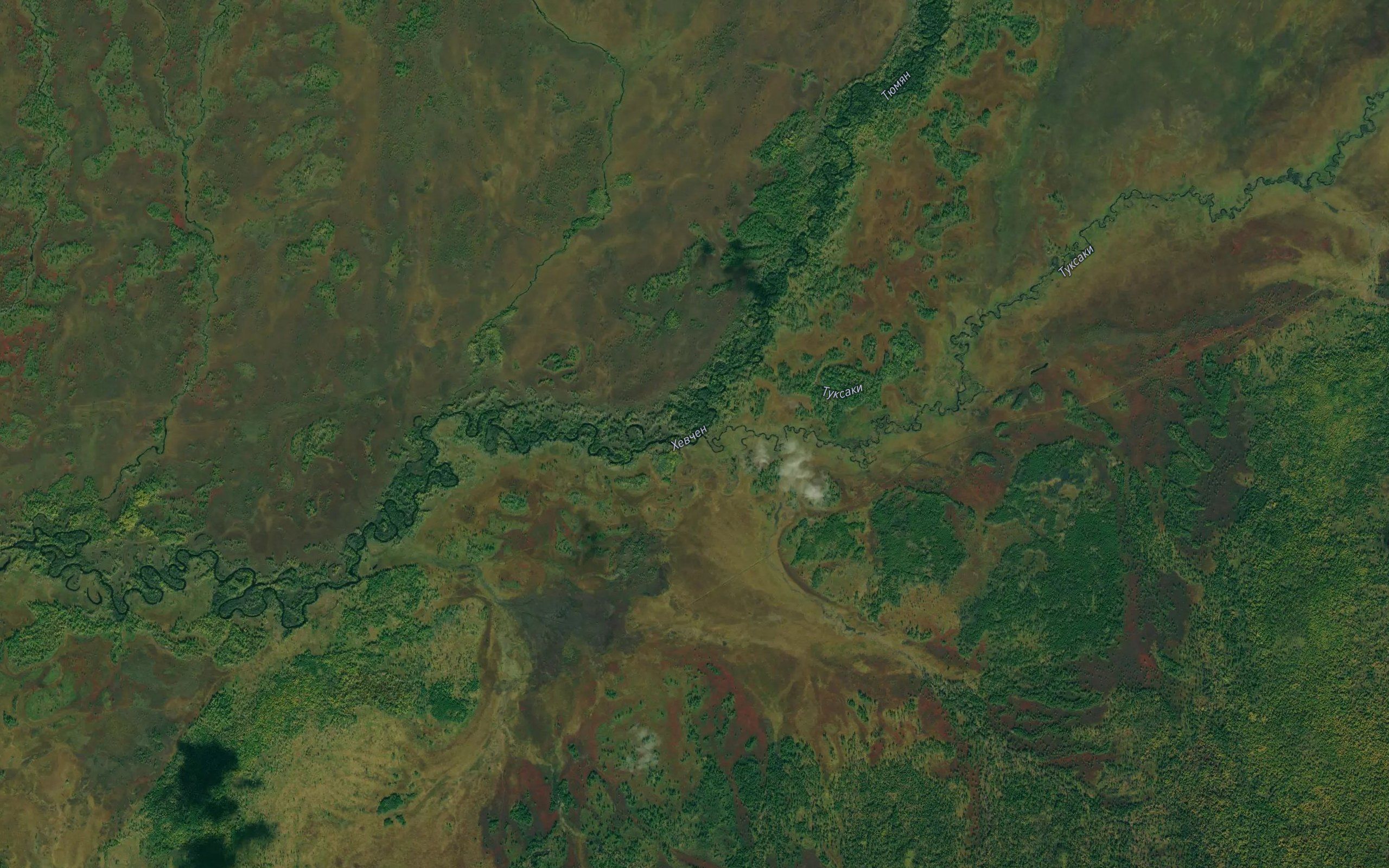 Tyumyan