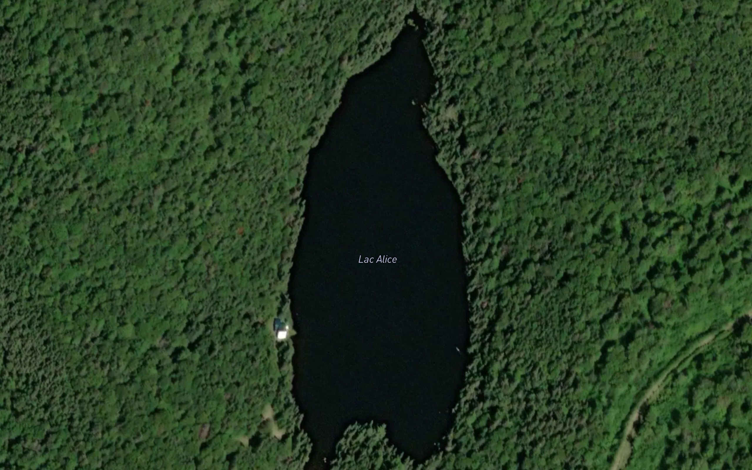 Lac Alice