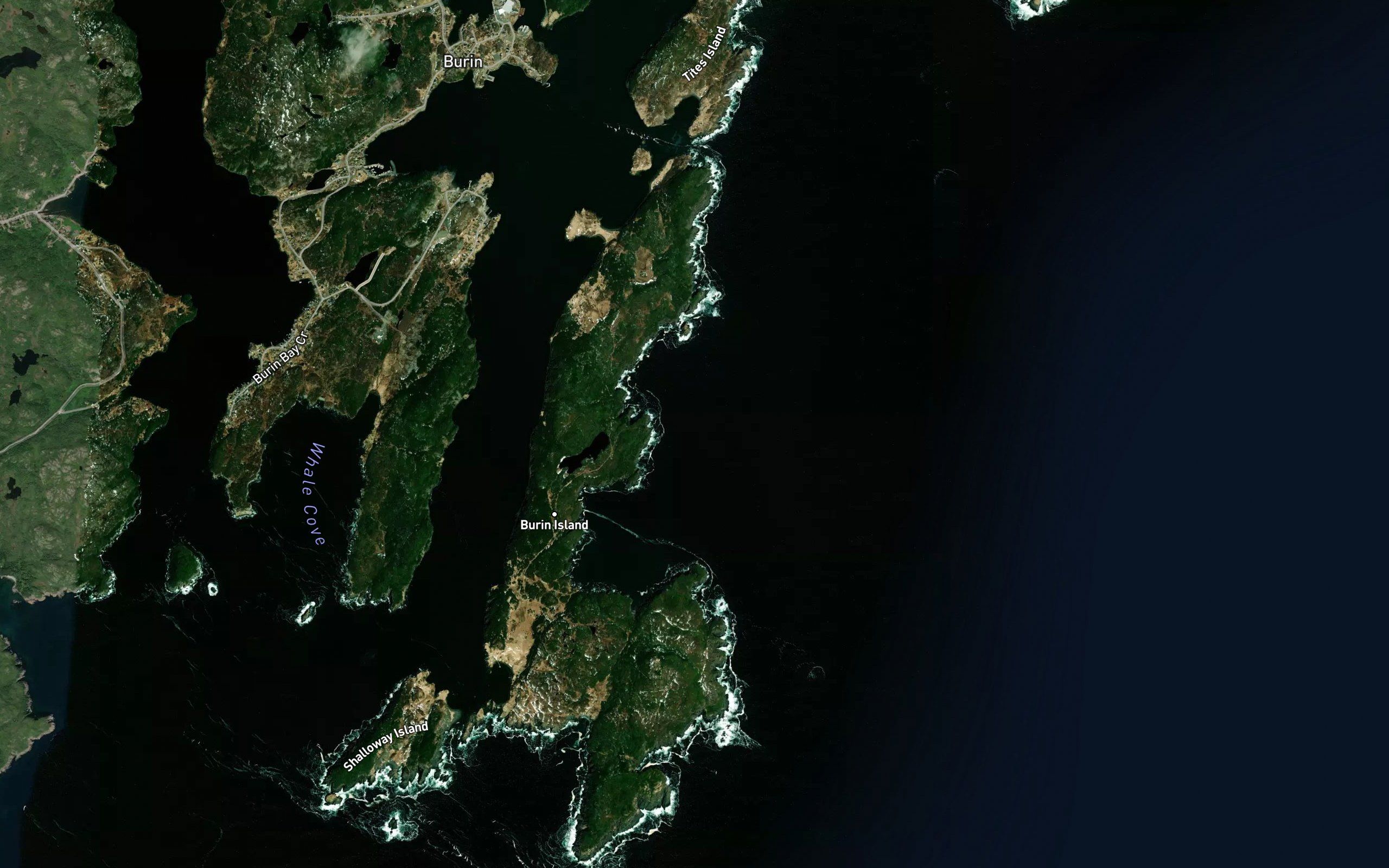 Seal Cove