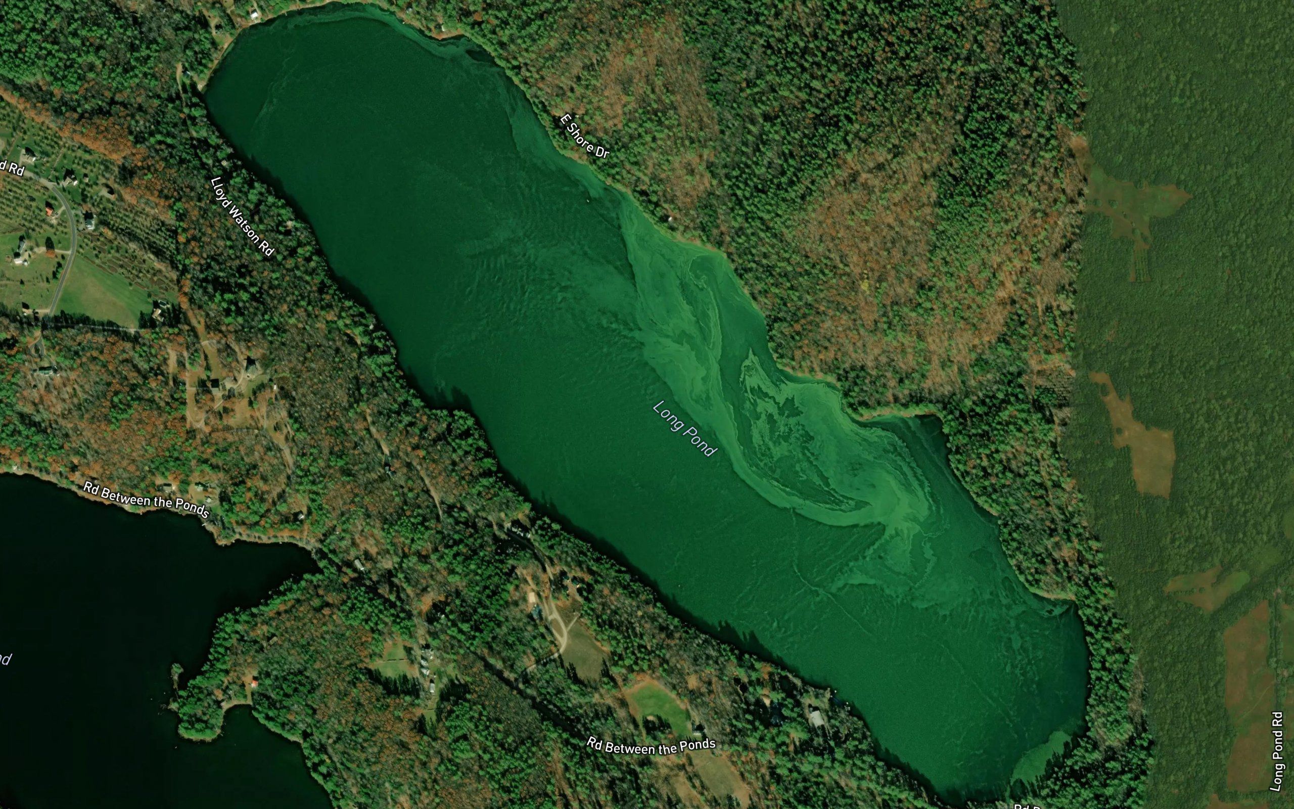 Long Pond