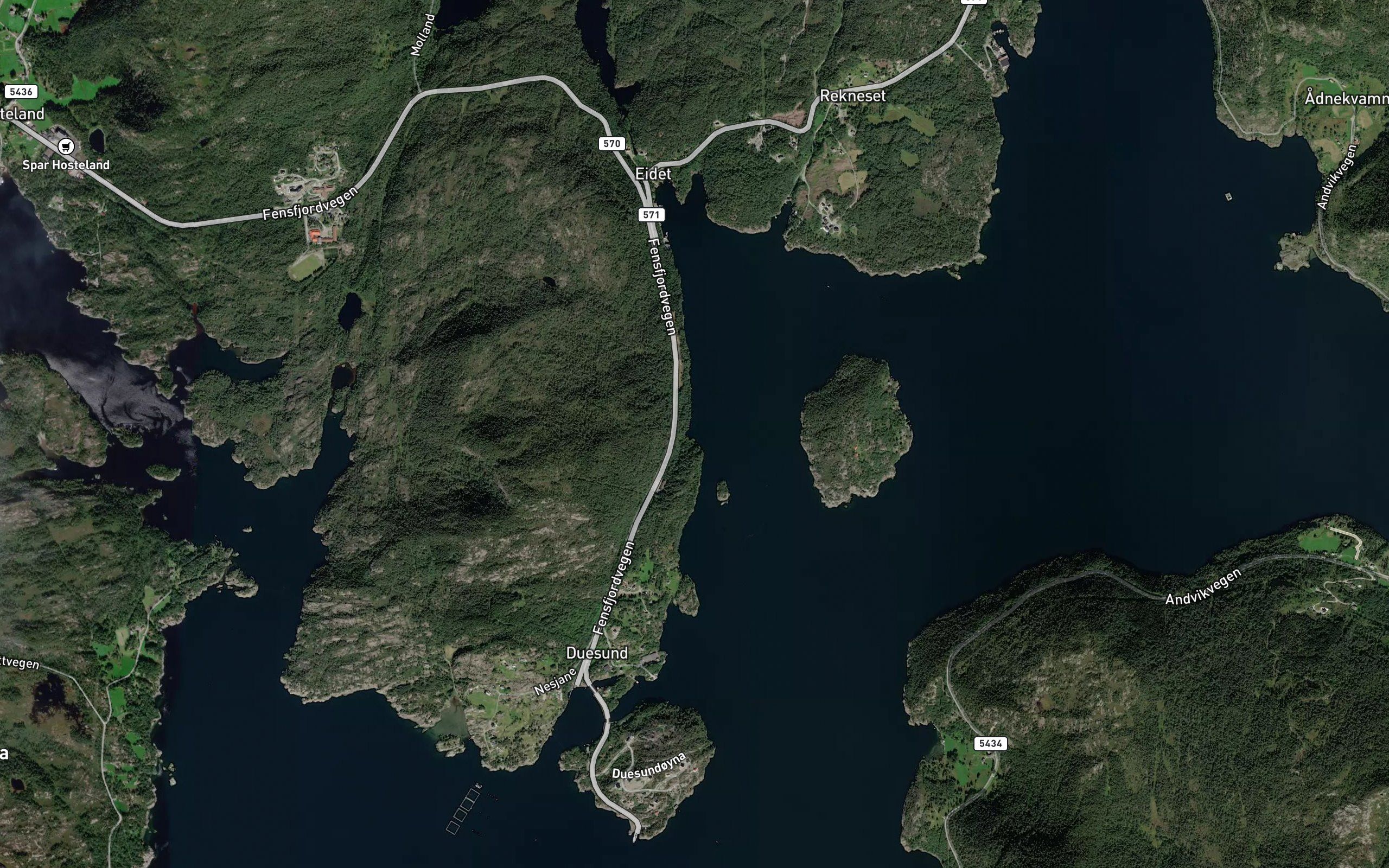 Ongleviki