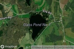 Glass Pond Number One