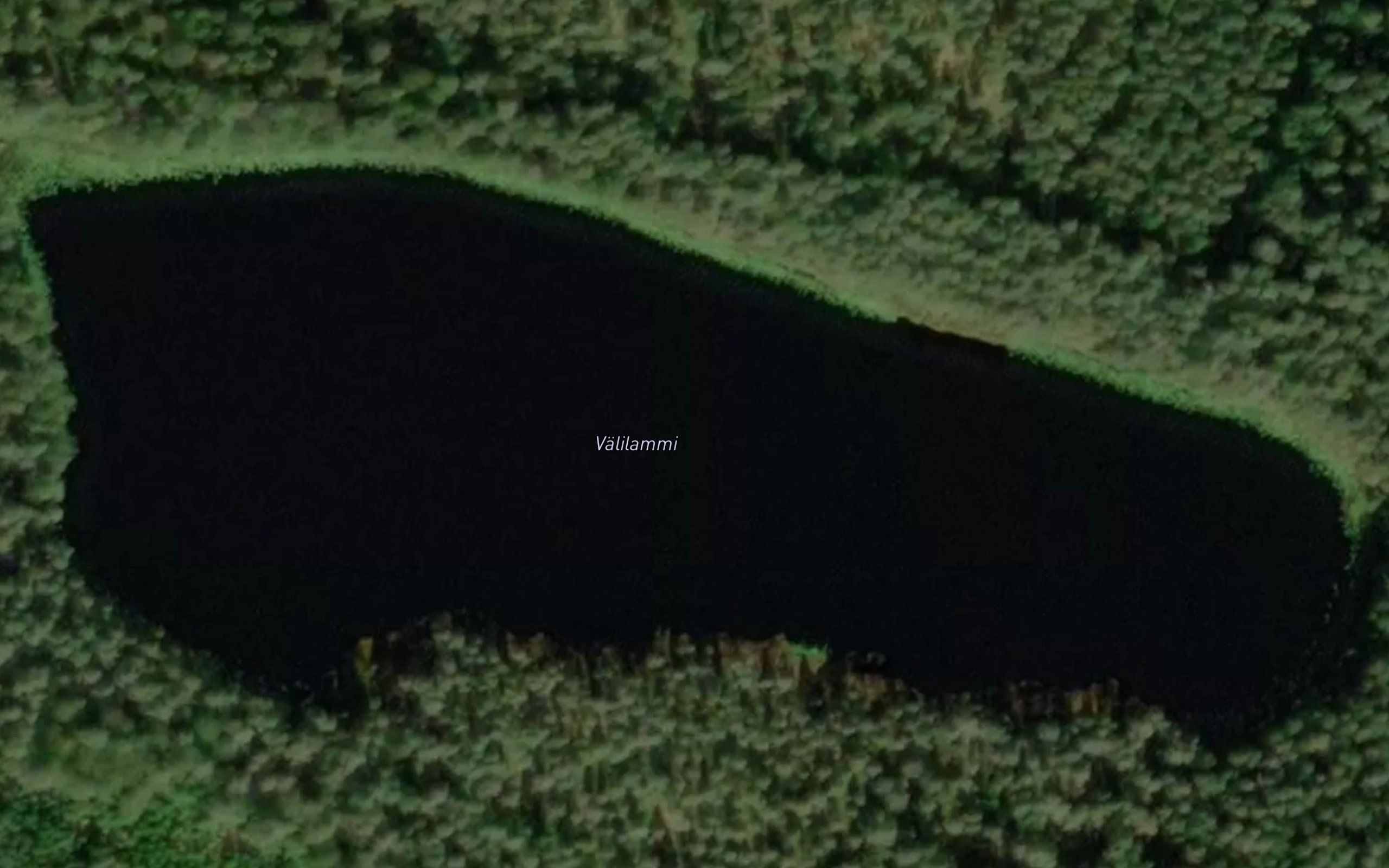 Valilammi