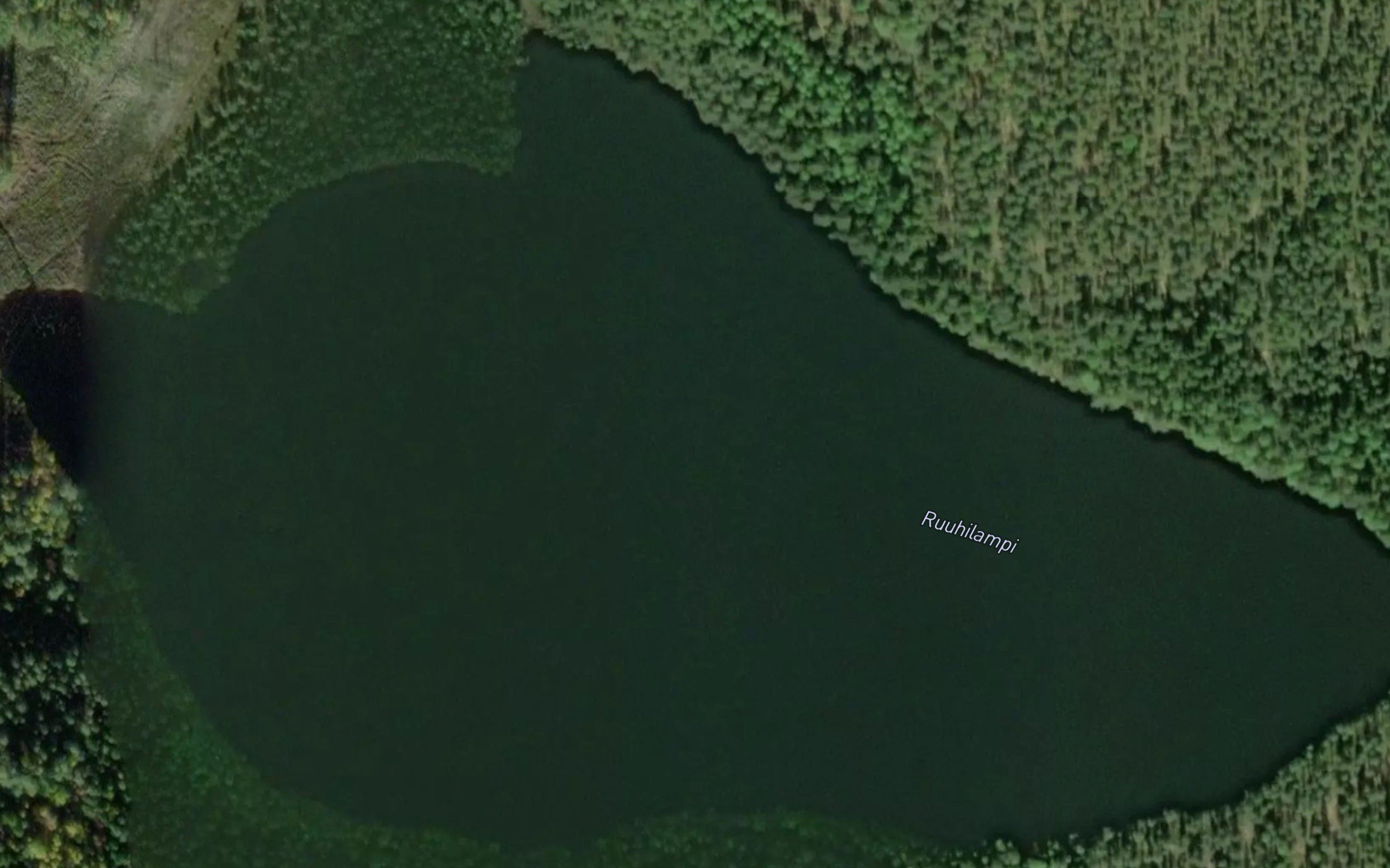 Ruuhilampi