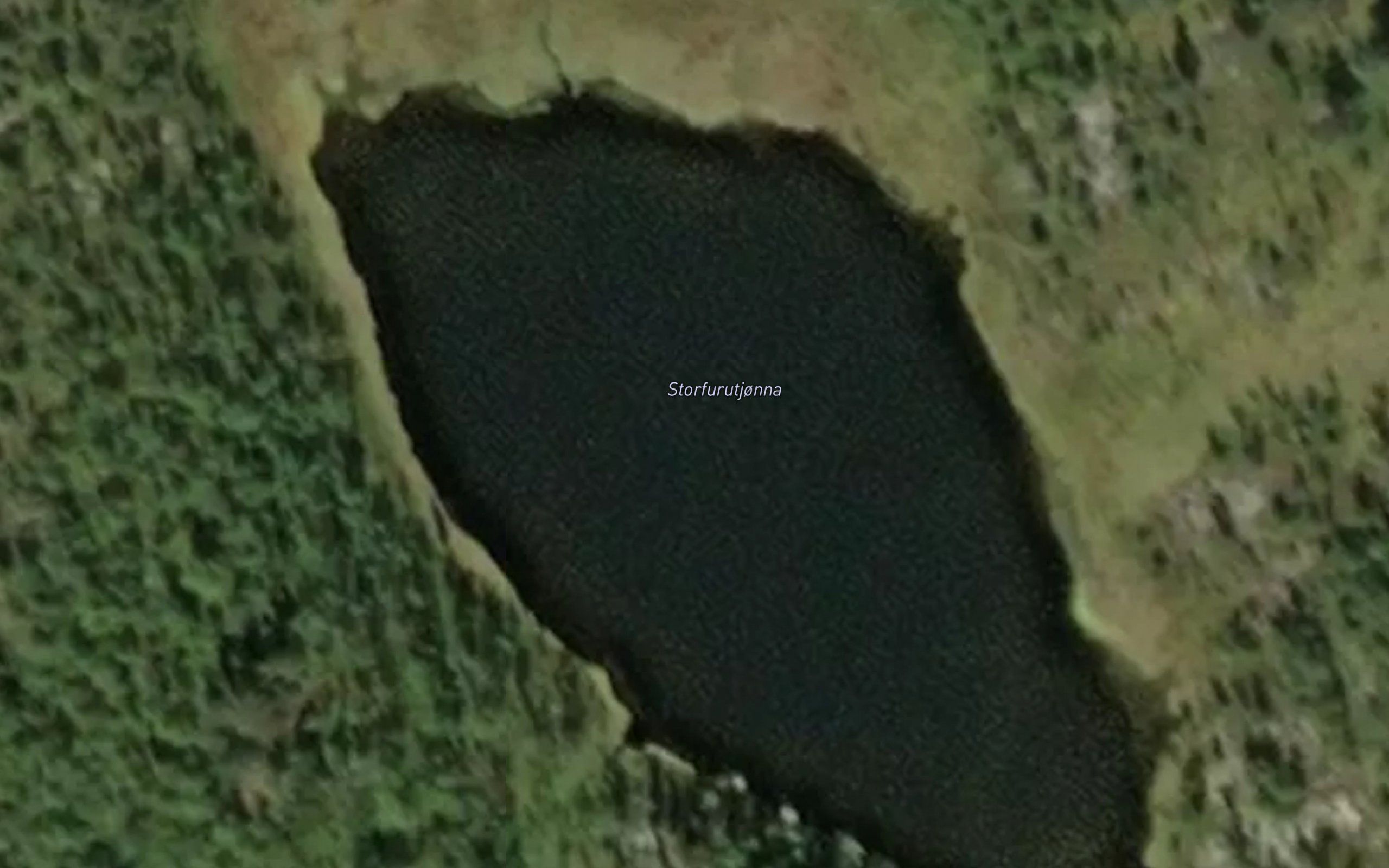 Storfurutjonna