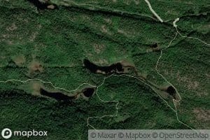 Murtetjornane