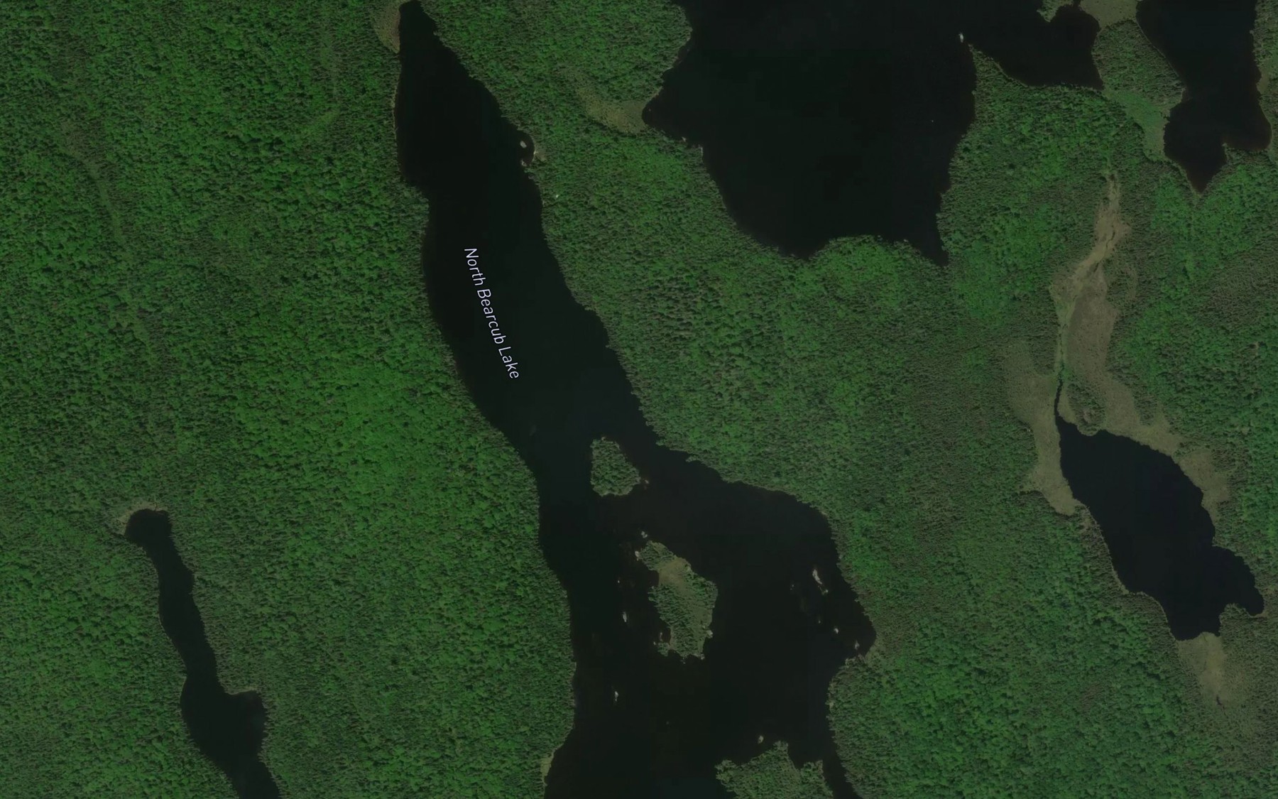 Satellite map of the North Bearcub Lake
