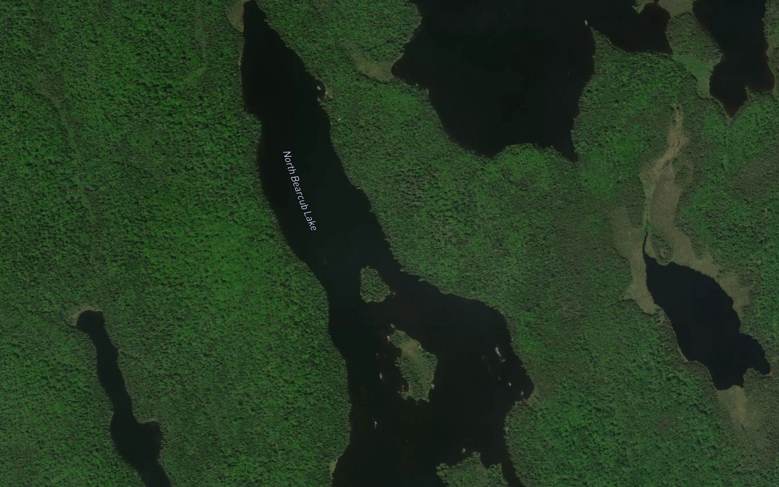 North Bearcub Lake