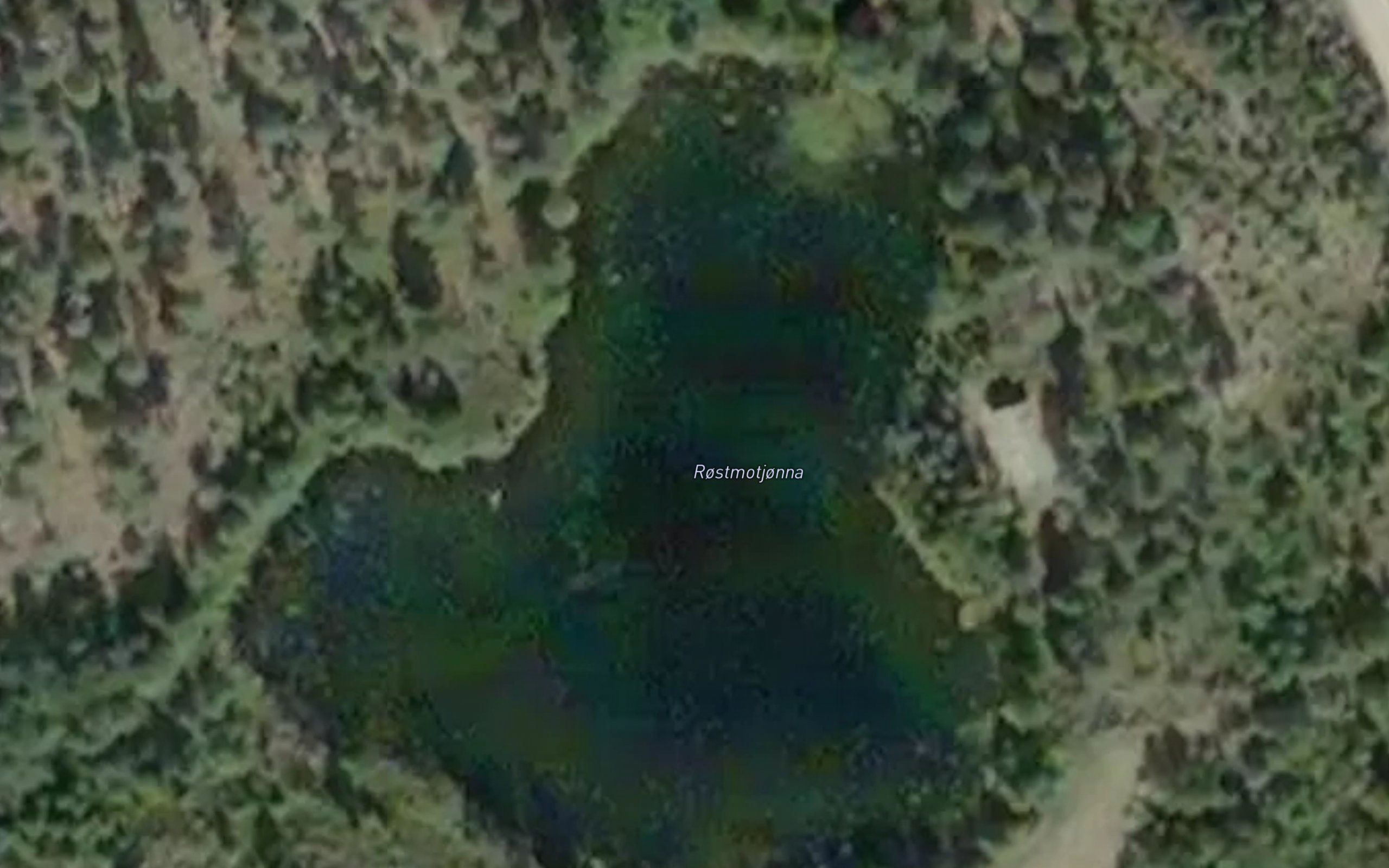 Rostmotjonna