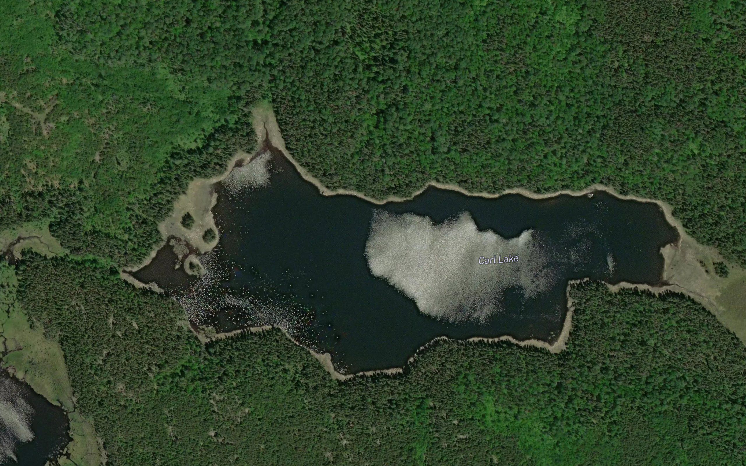 Carl Lake