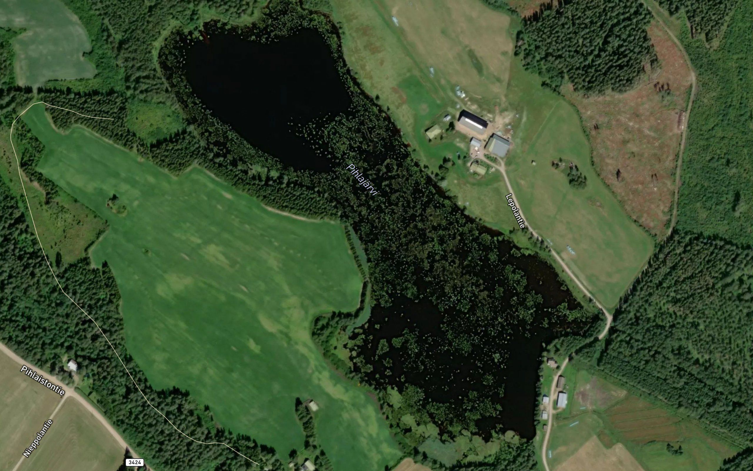 Kusioja